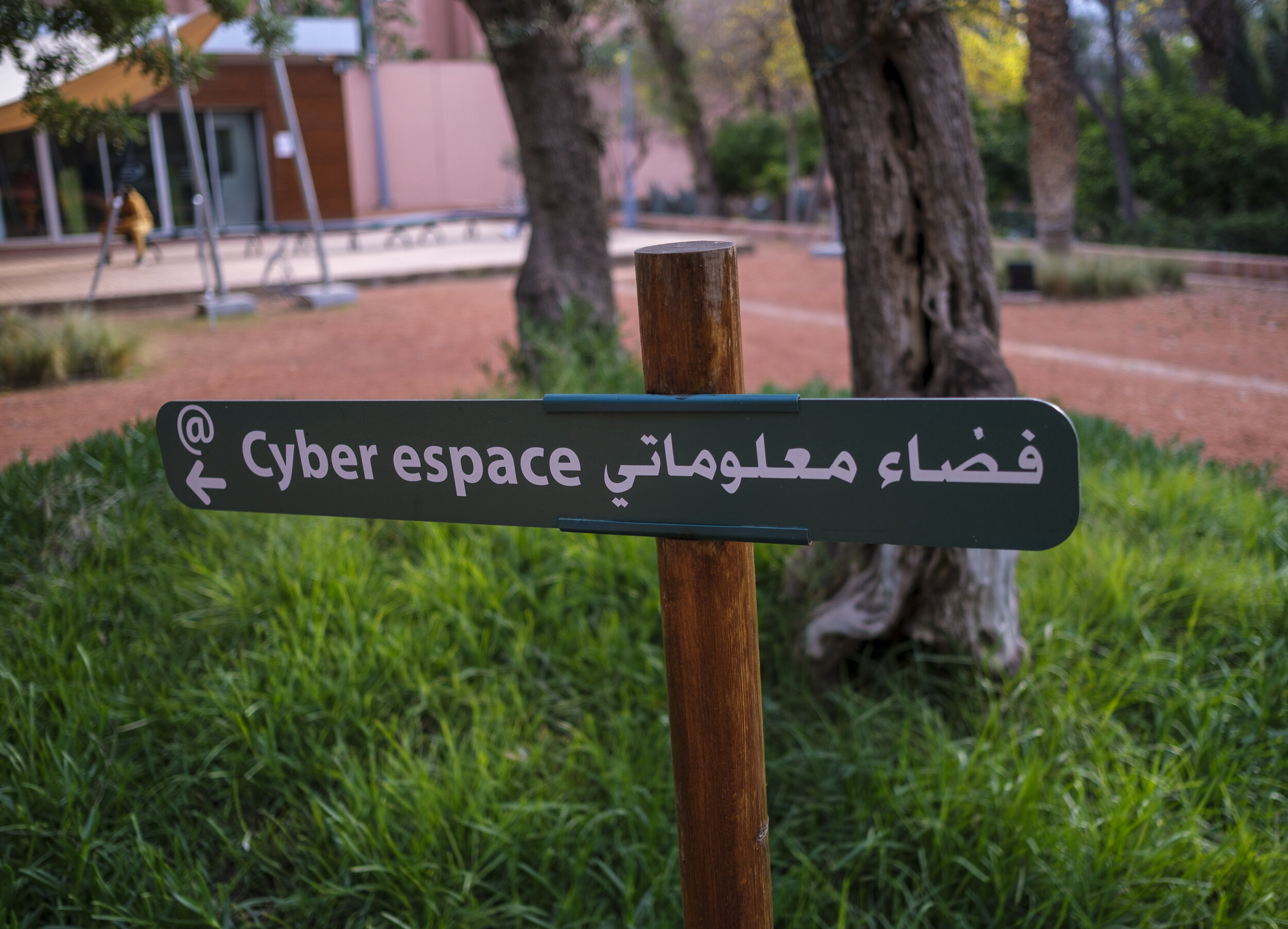  Cyber park (Photo/Jason Rafal) 