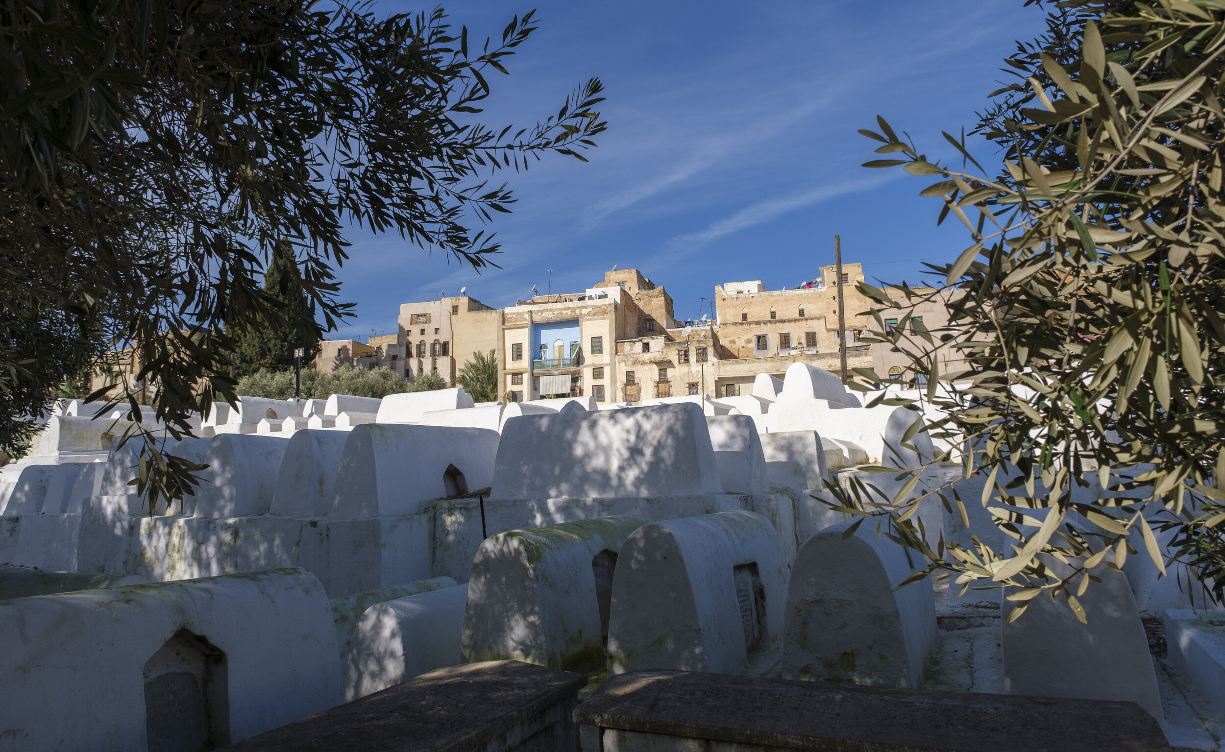  The cemetery (Photo/Jason Rafal) 