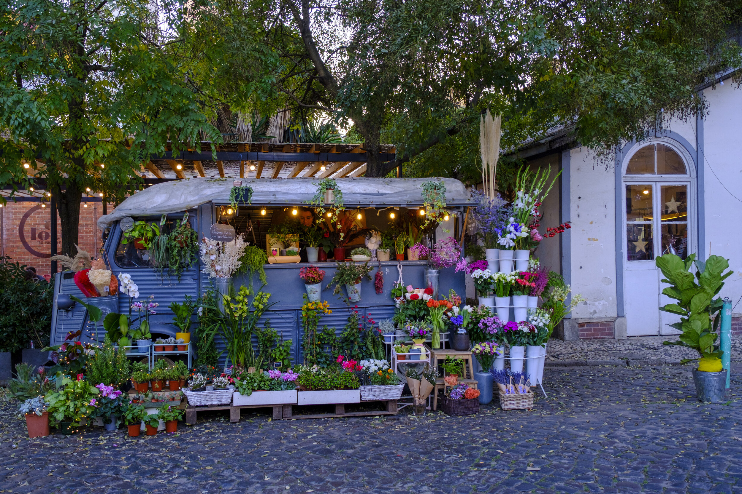  An adorable plant shop (Photo/Jason Rafal) 
