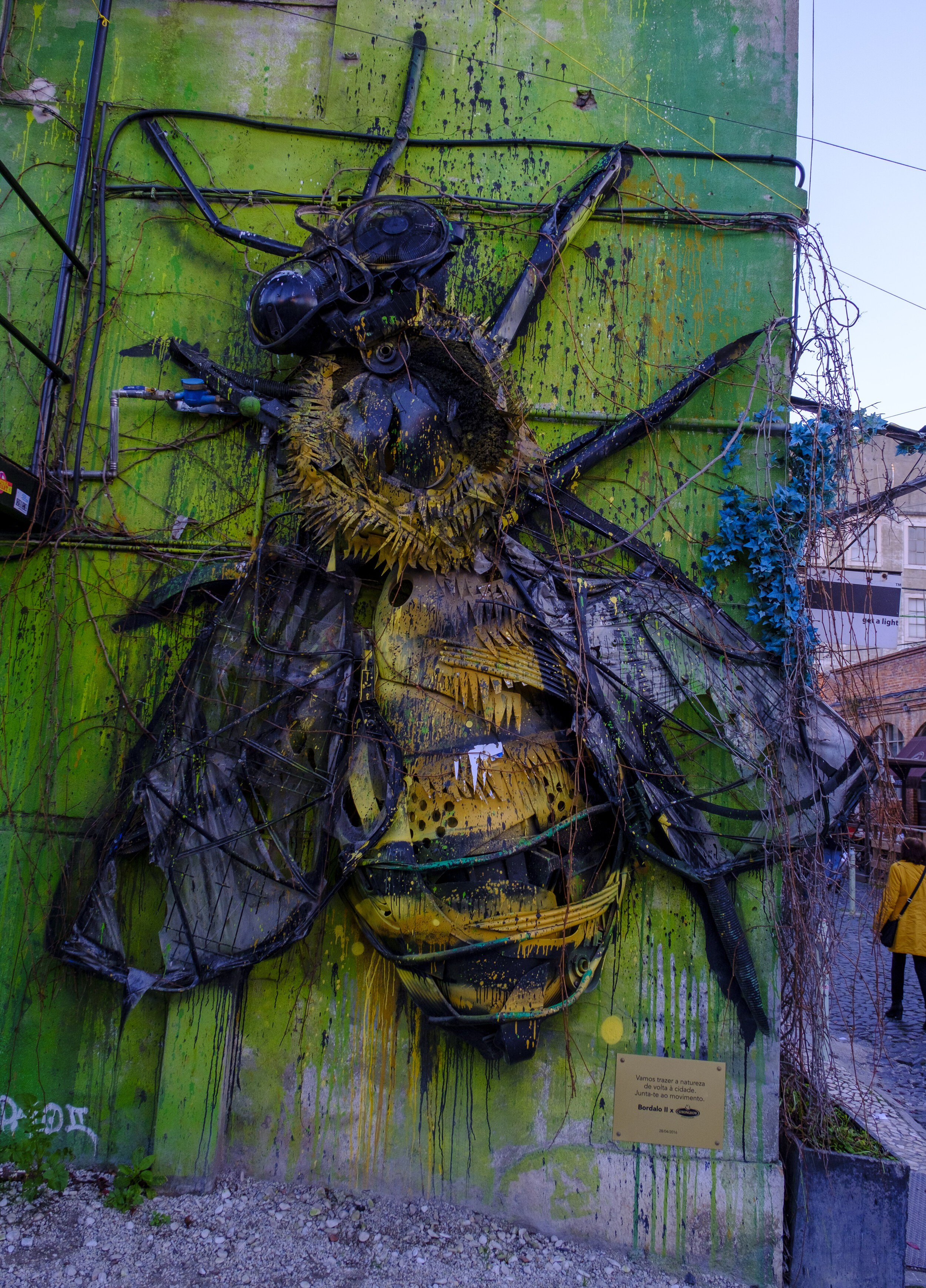  A giant bee (Photo/Jason Rafal) 