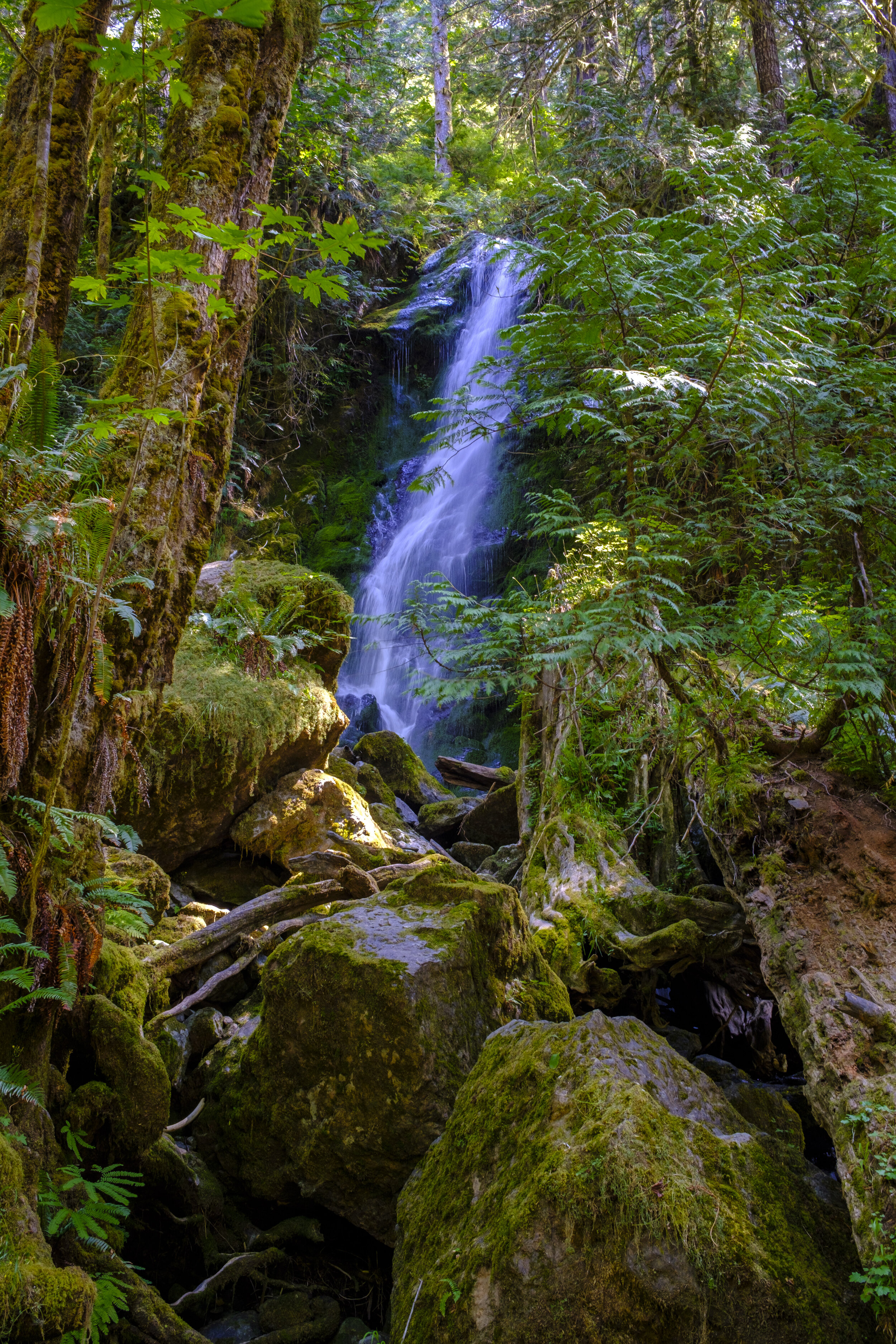  A waterfall with a Jurassic Park feel (photo/Jason Rafal) 