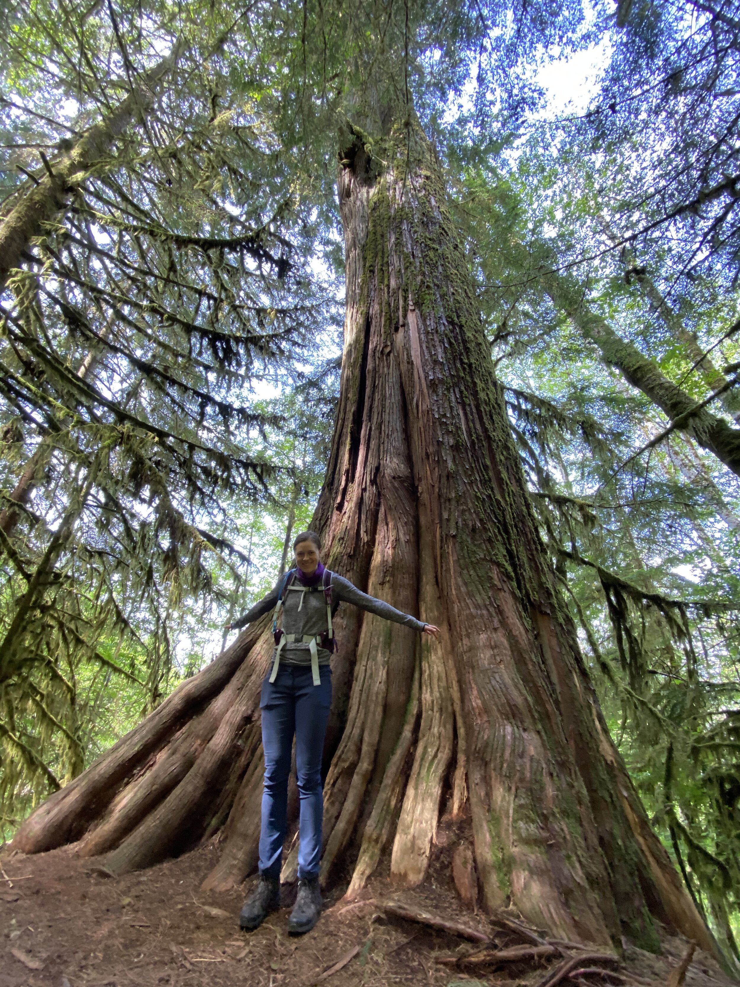  Wide angle makes both me and the tree look much longer (photo/Jason Rafal) 