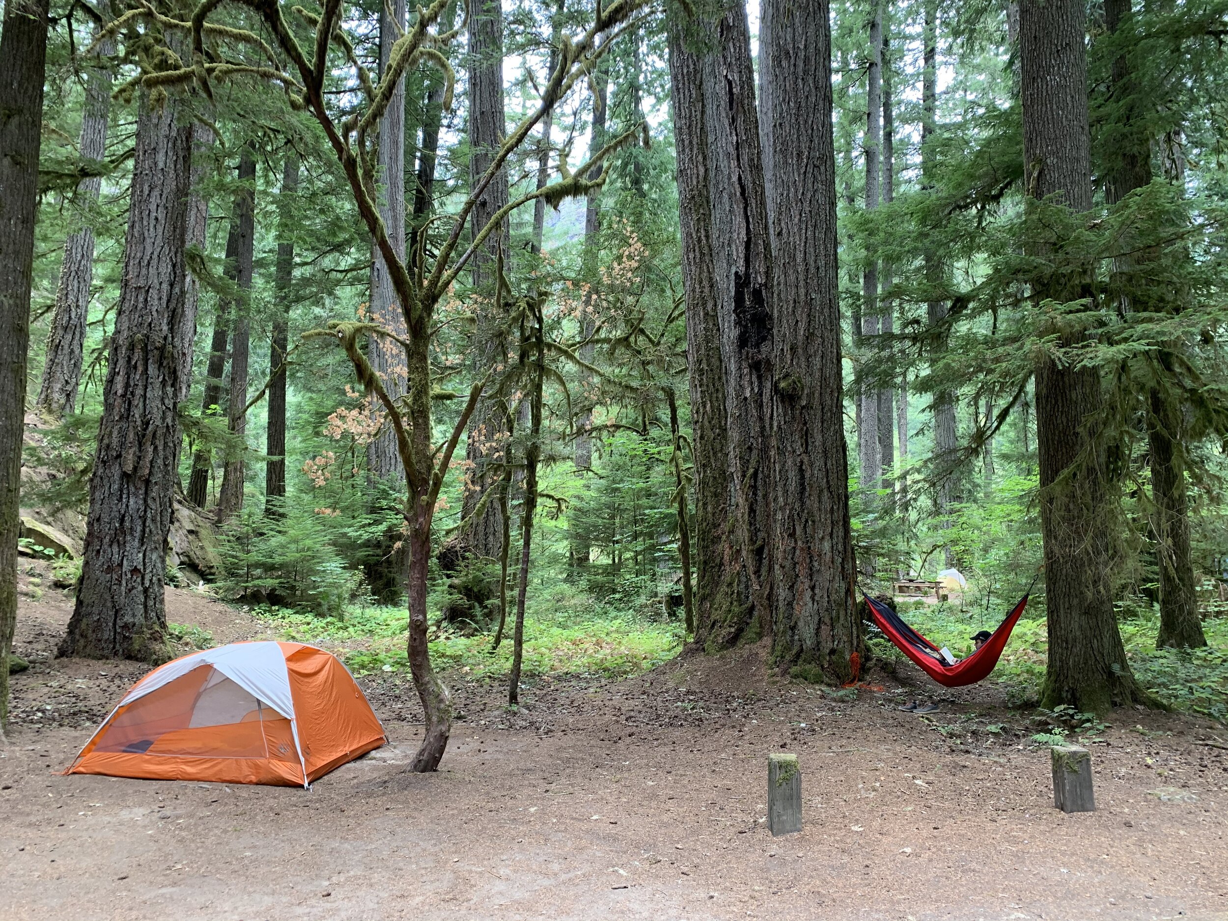  One of my very favorite campsites (photo/Nicole Harrison) 