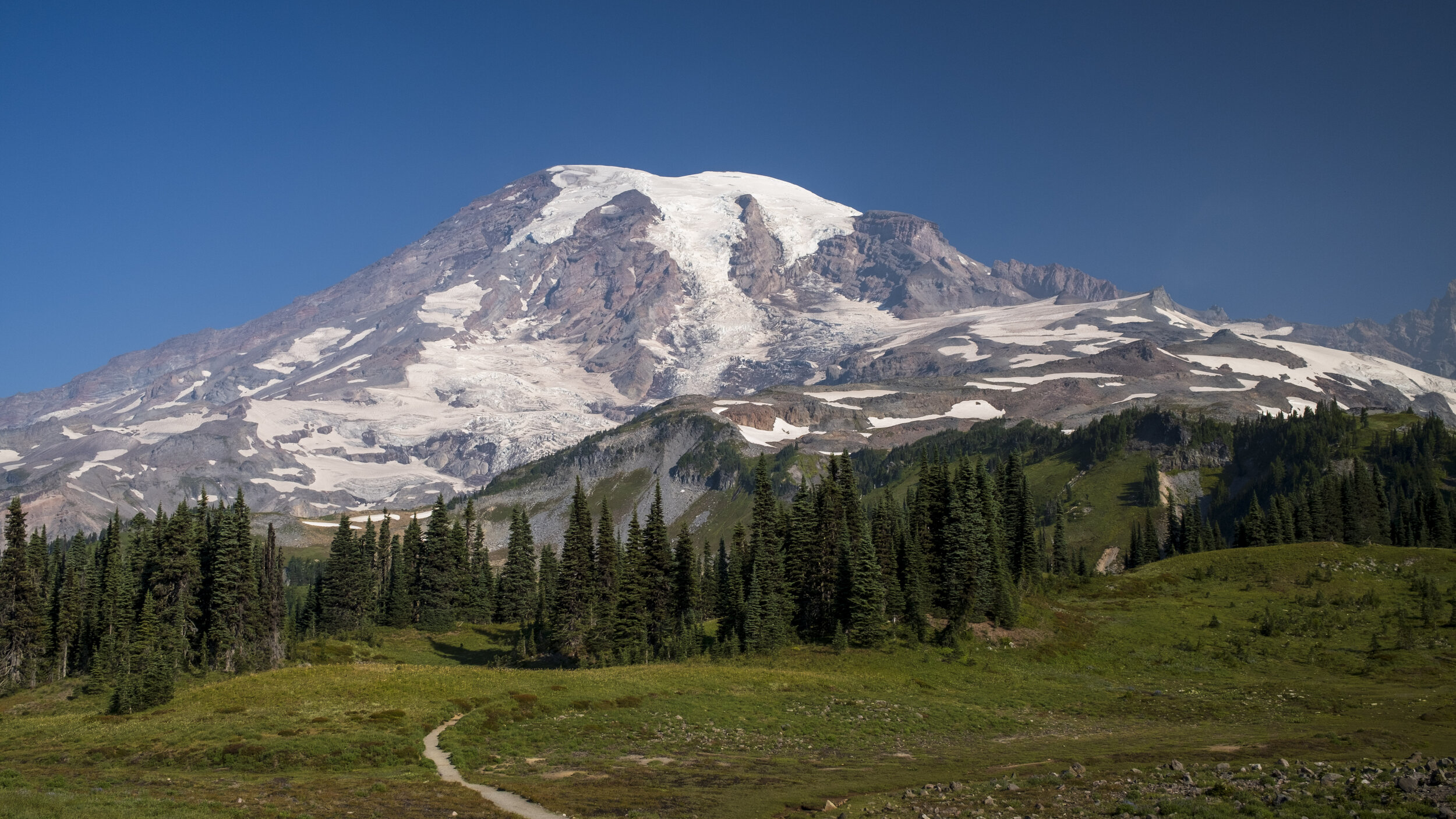  A path to Mount Rainier (photo/Jason Rafal) 