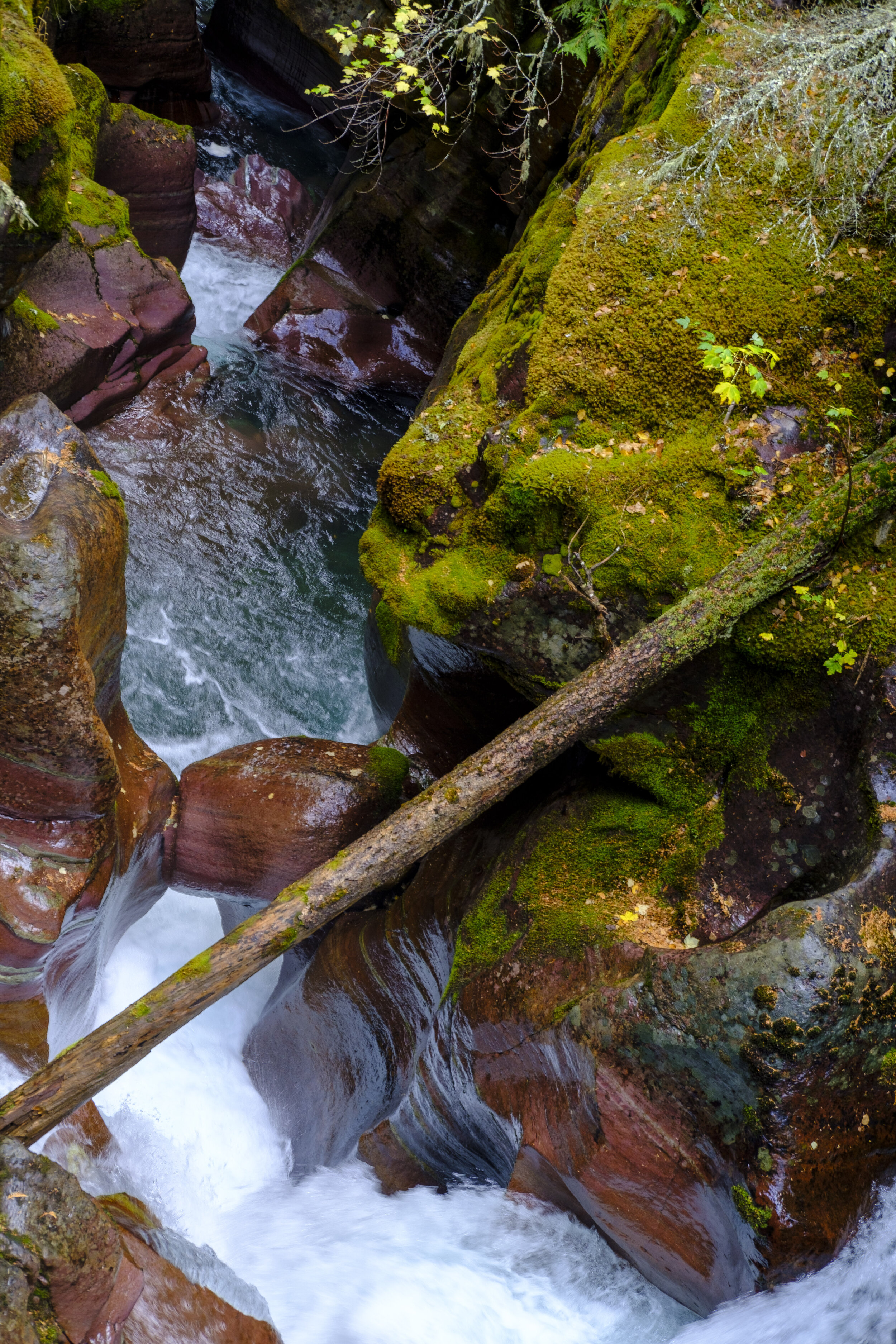 Looking down into the creek (photo/Jason Rafal)
