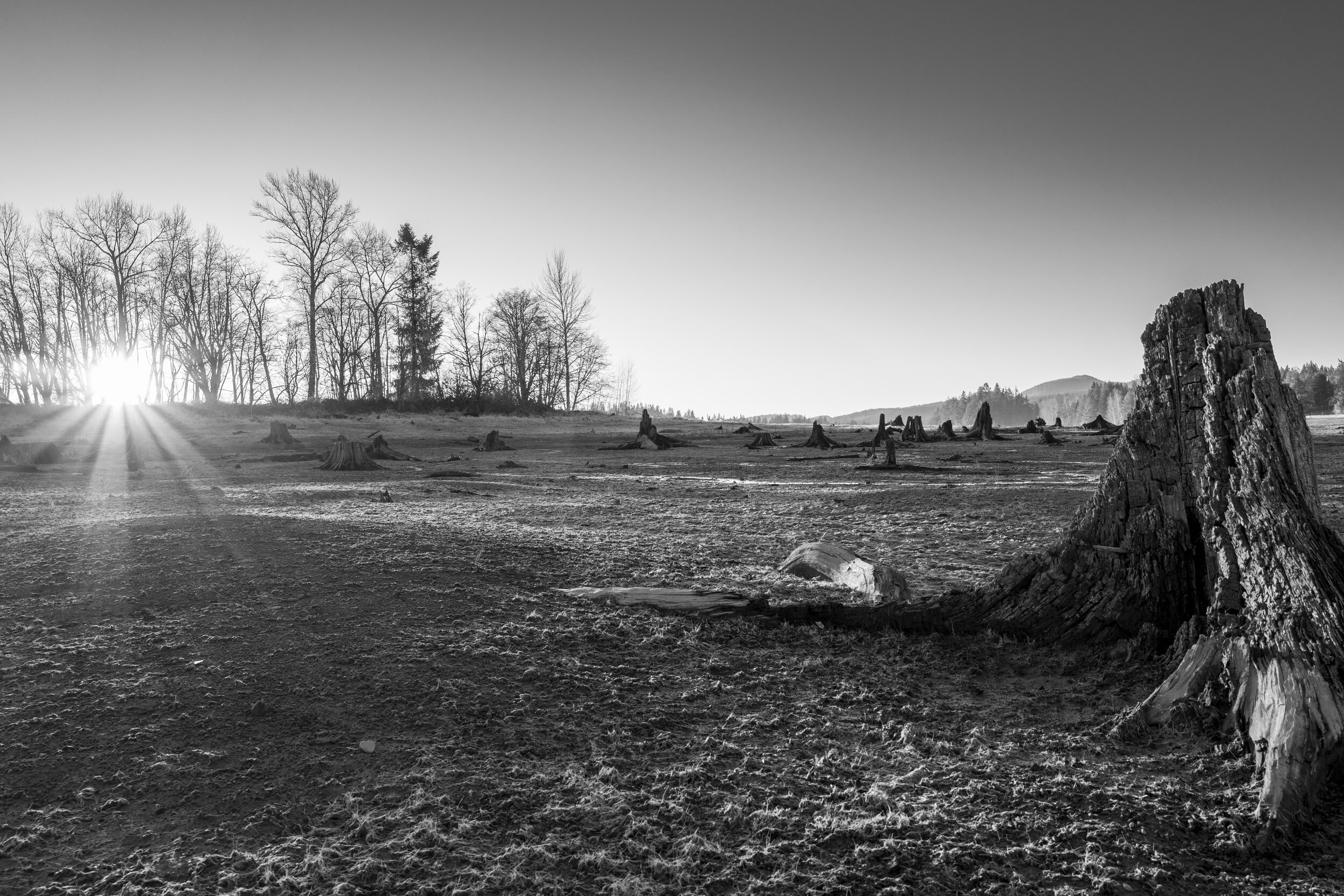  In addition to sunstars, he’s also leaning into black and white (photo/Jason Rafal) 