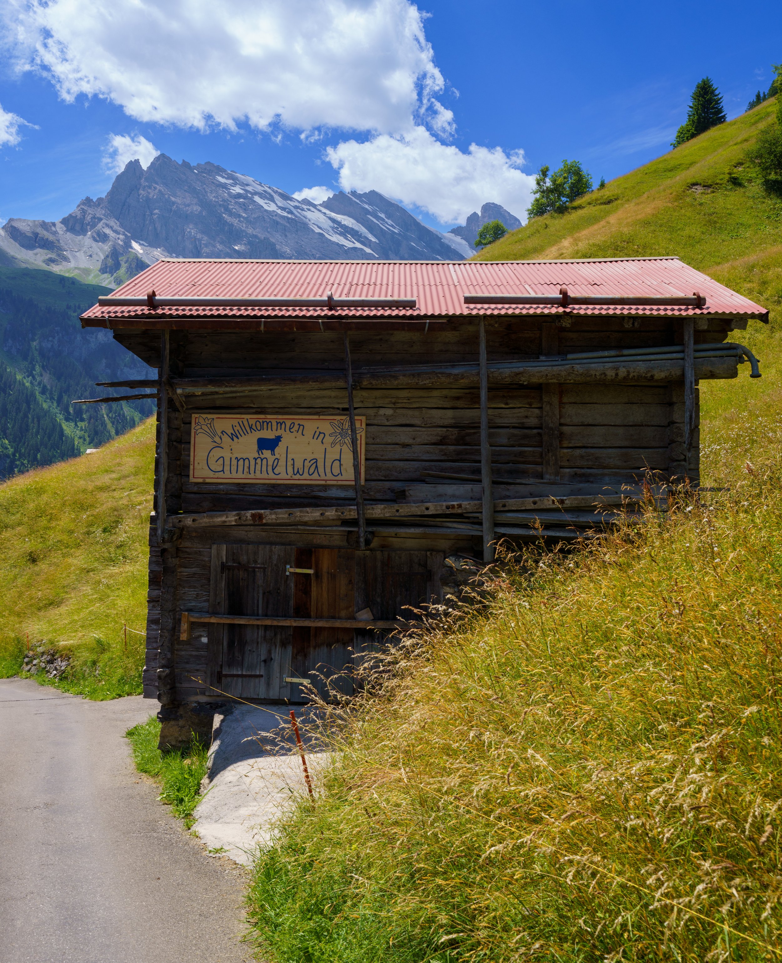 Our welcome to Gimmelwald (photo/Jason Rafal)