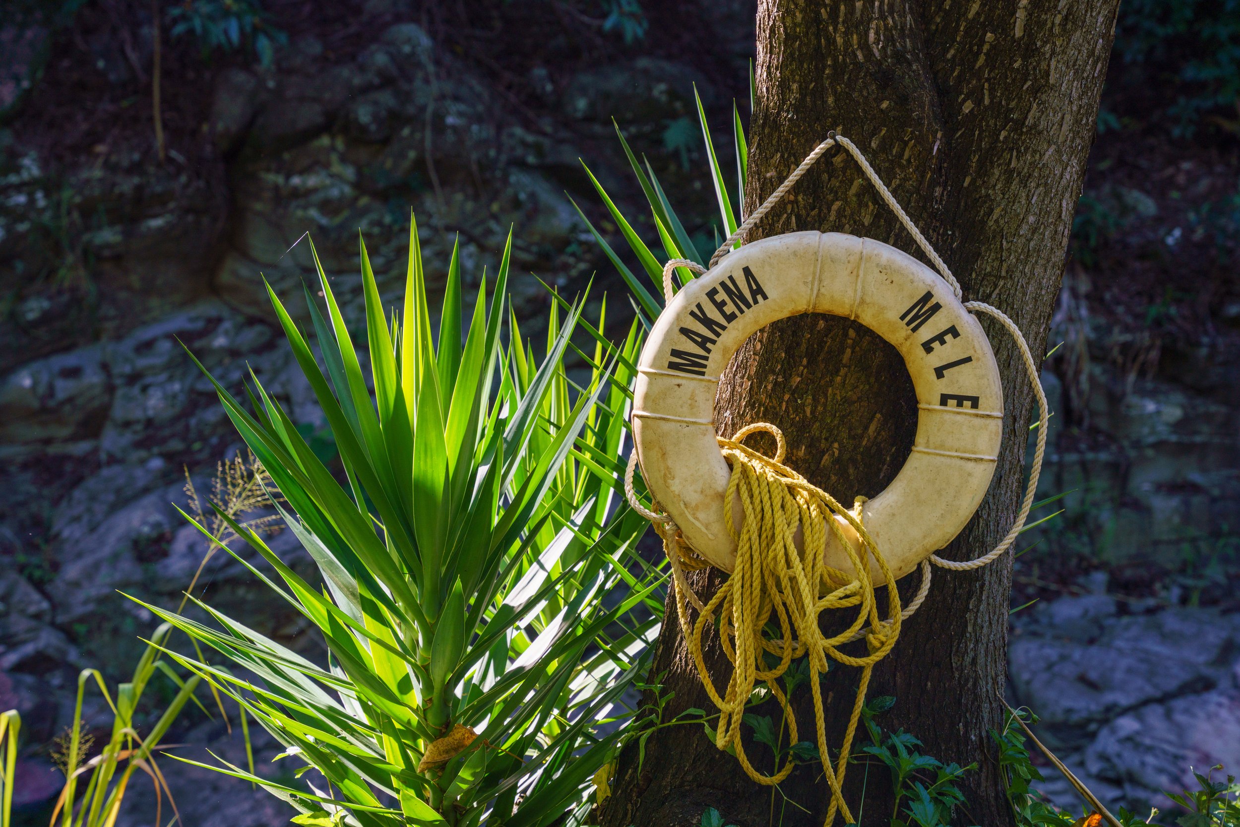  A lifebuoy at one of the swimming holes 