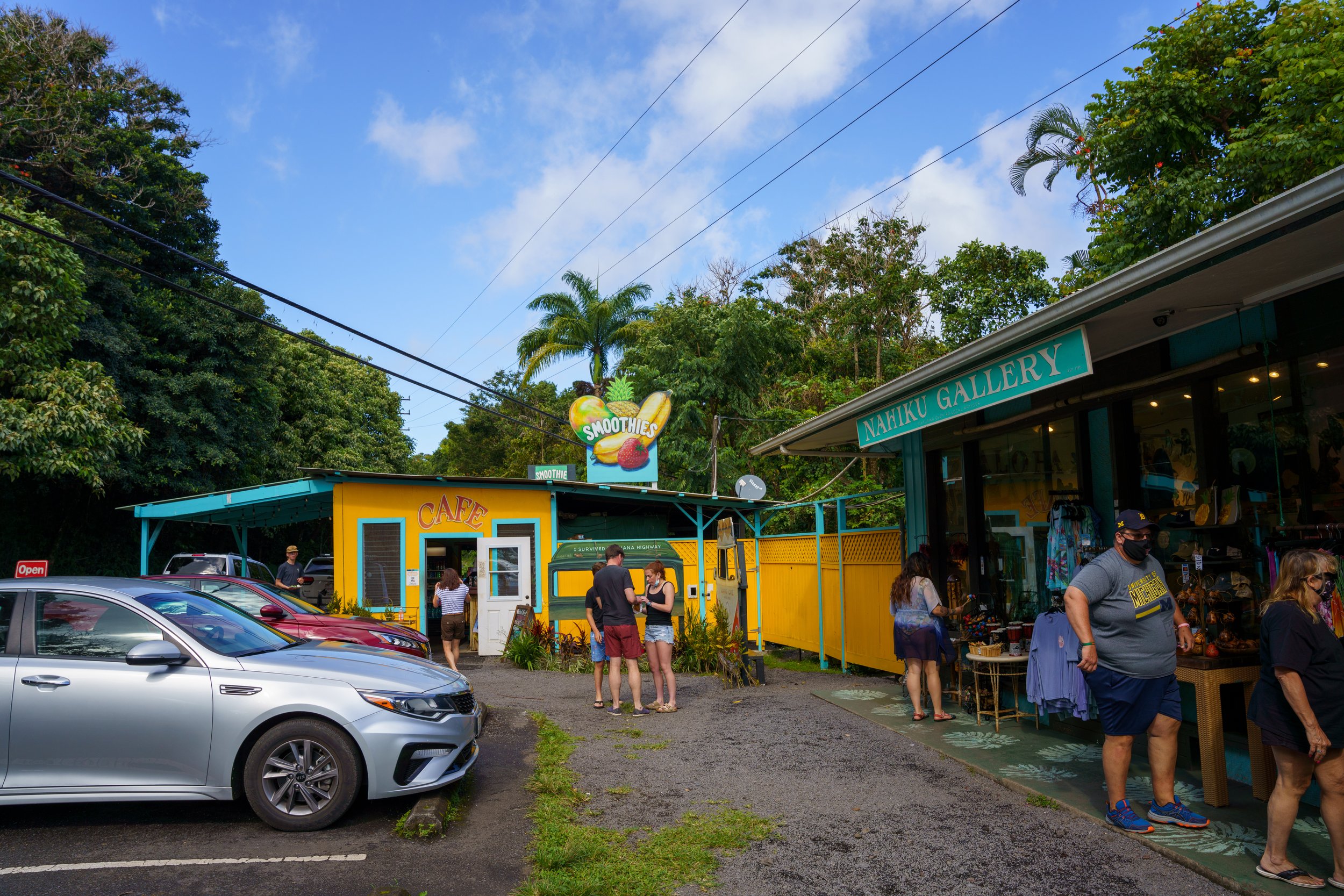  A collection of businesses on the road to Hana 