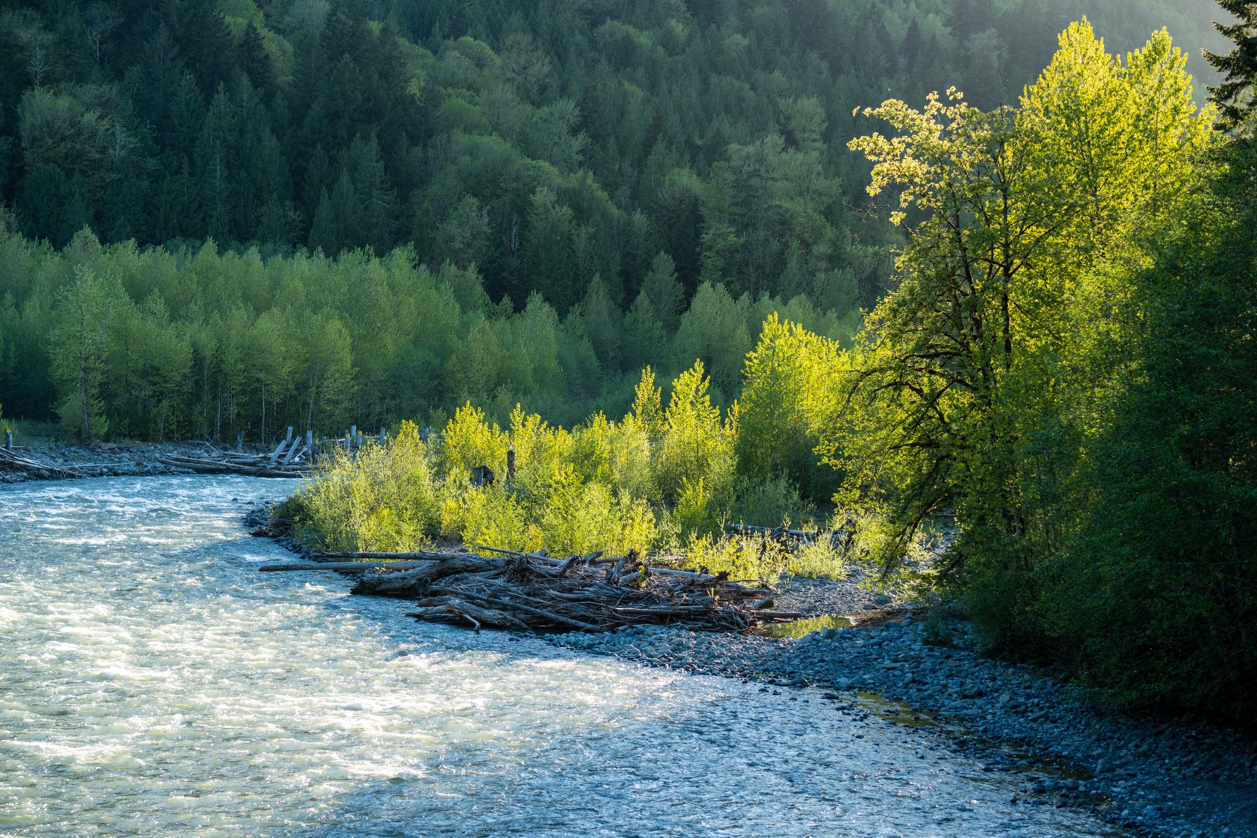  The view over the North Fork Nooksack River 
