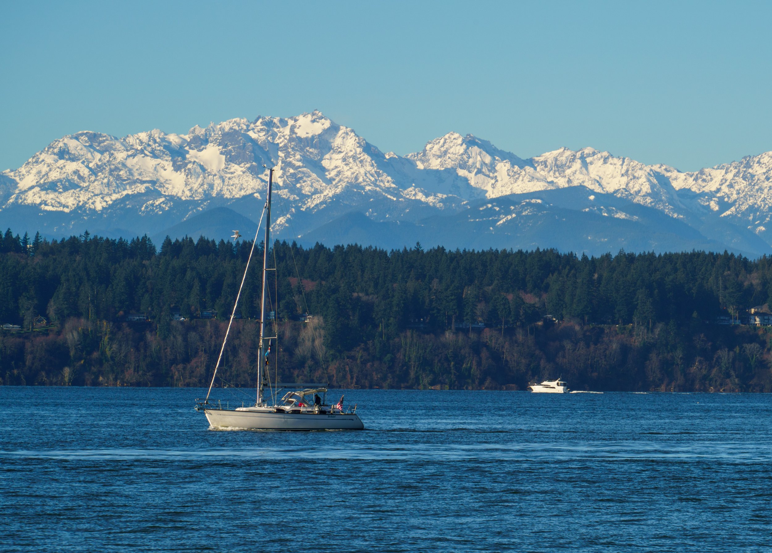  The beautiful Olympic mountains on a rare sunny winter day 
