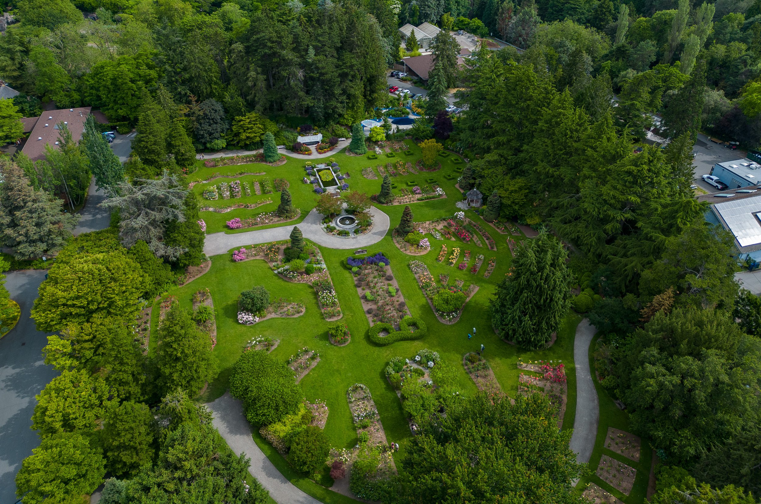 An aerial view of the rose garden near our house 