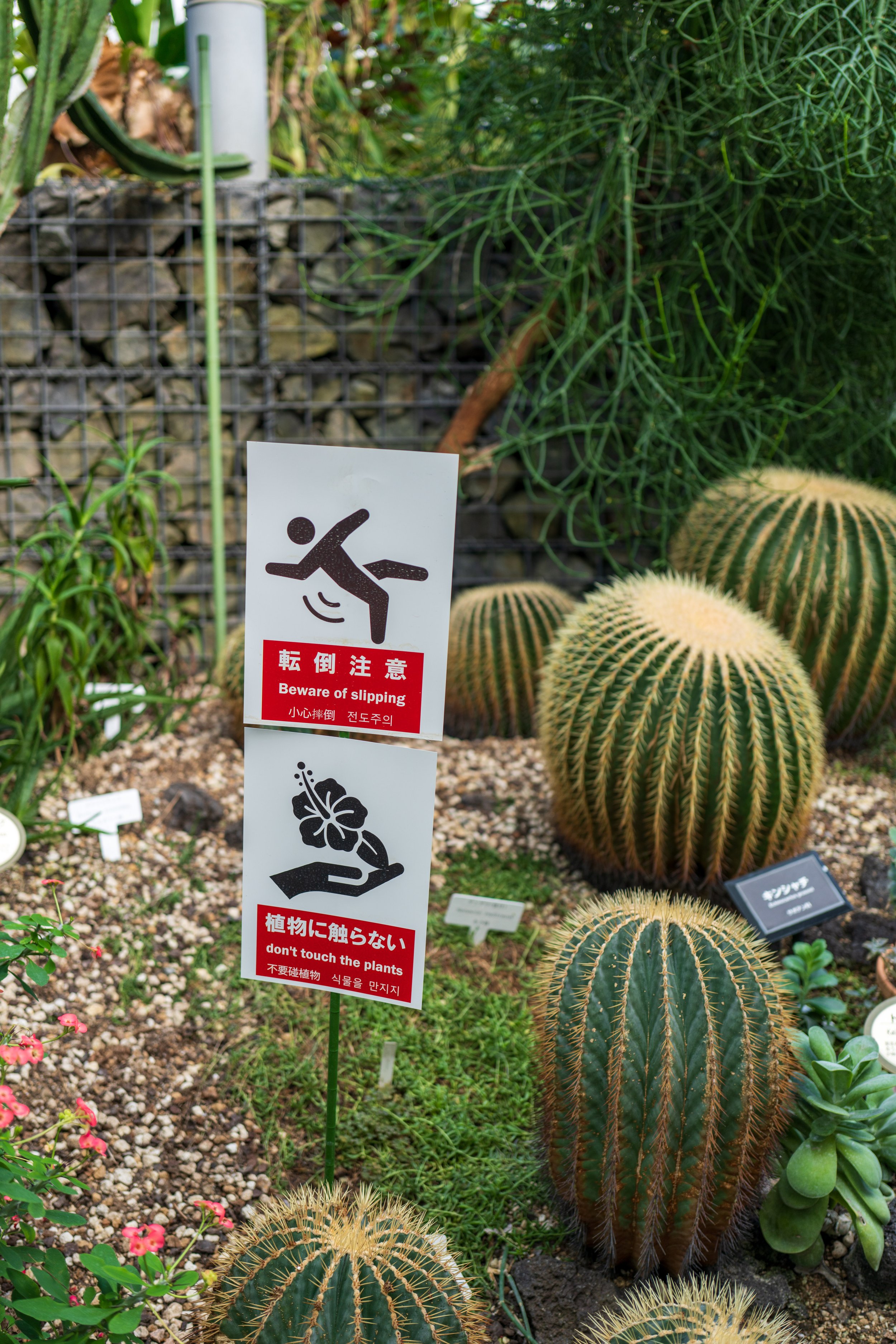  Japan loves rules and signs (photo/Jason Rafal) 