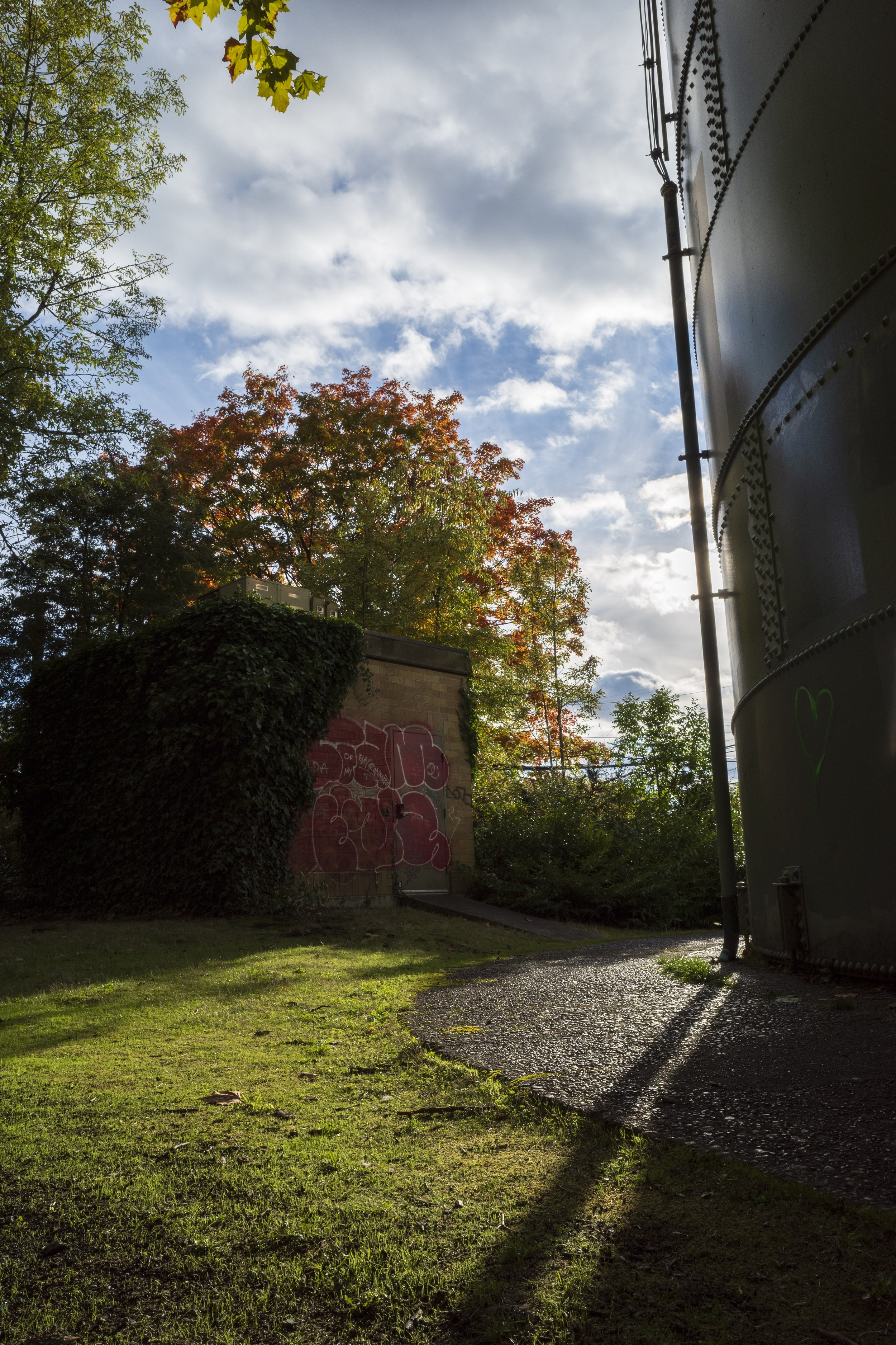  Light (photo/Jason Rafal) 