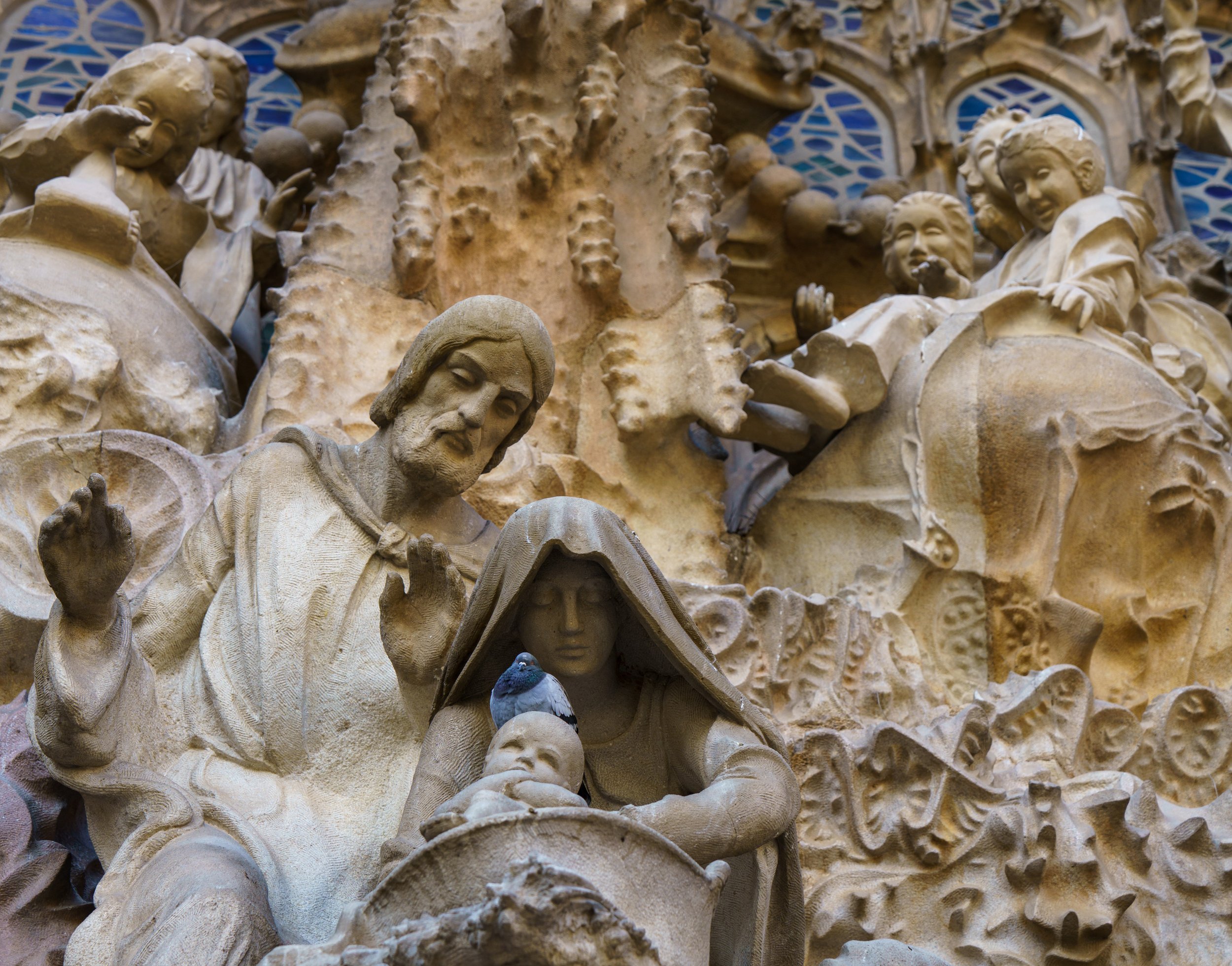  A pigeon rests on the baby Jesus’s head (photo/Jason Rafal) 