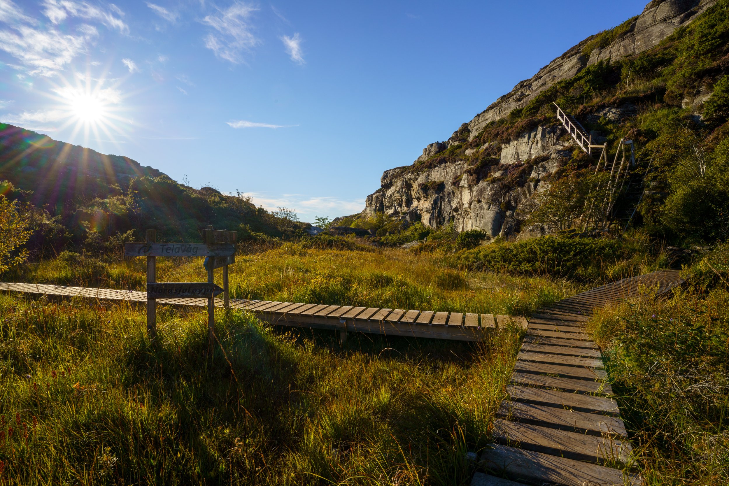 A fork in the marshy trail (photo/Jason Rafal)