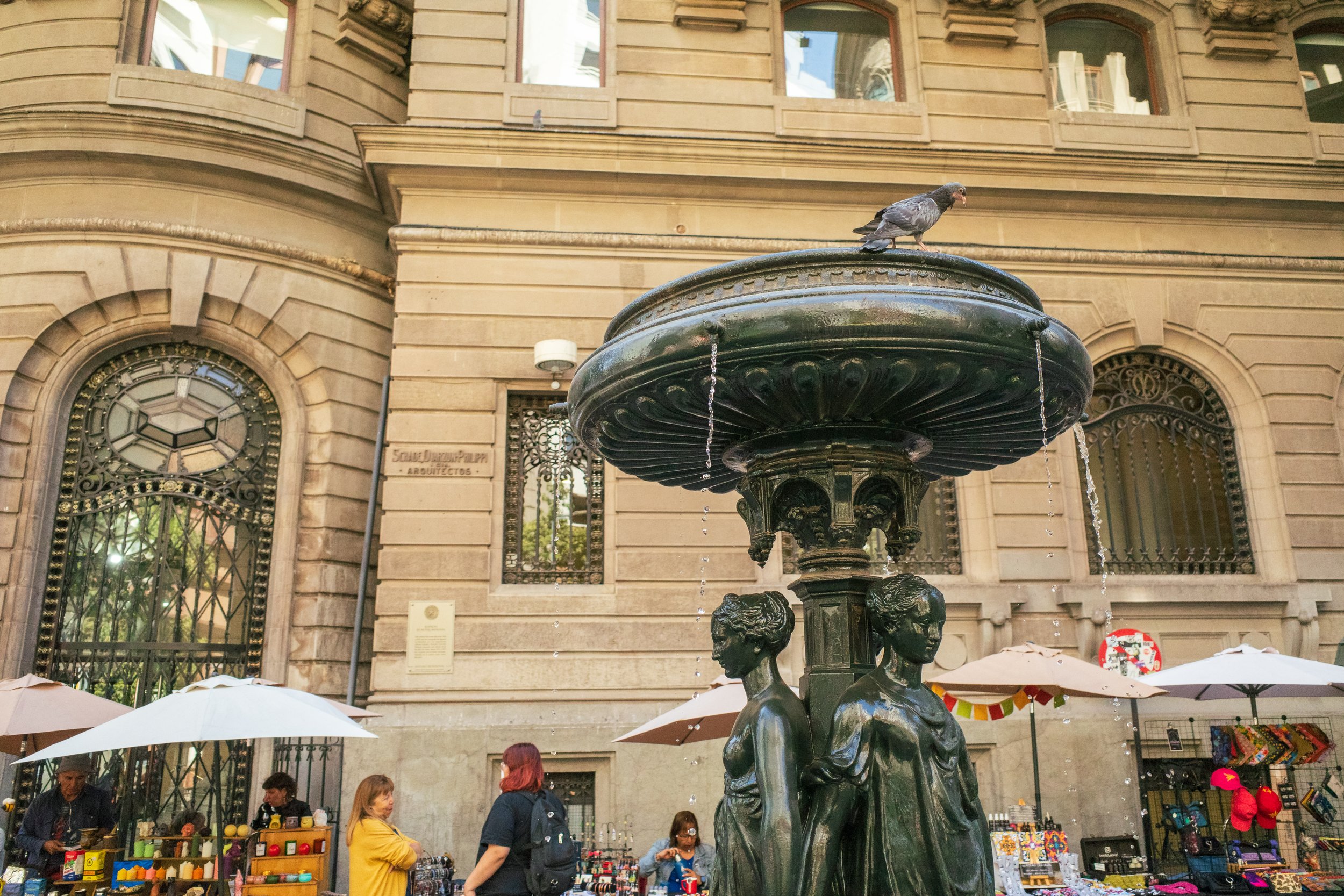  A pigeon looks down on us (photo/Jason Rafal) 
