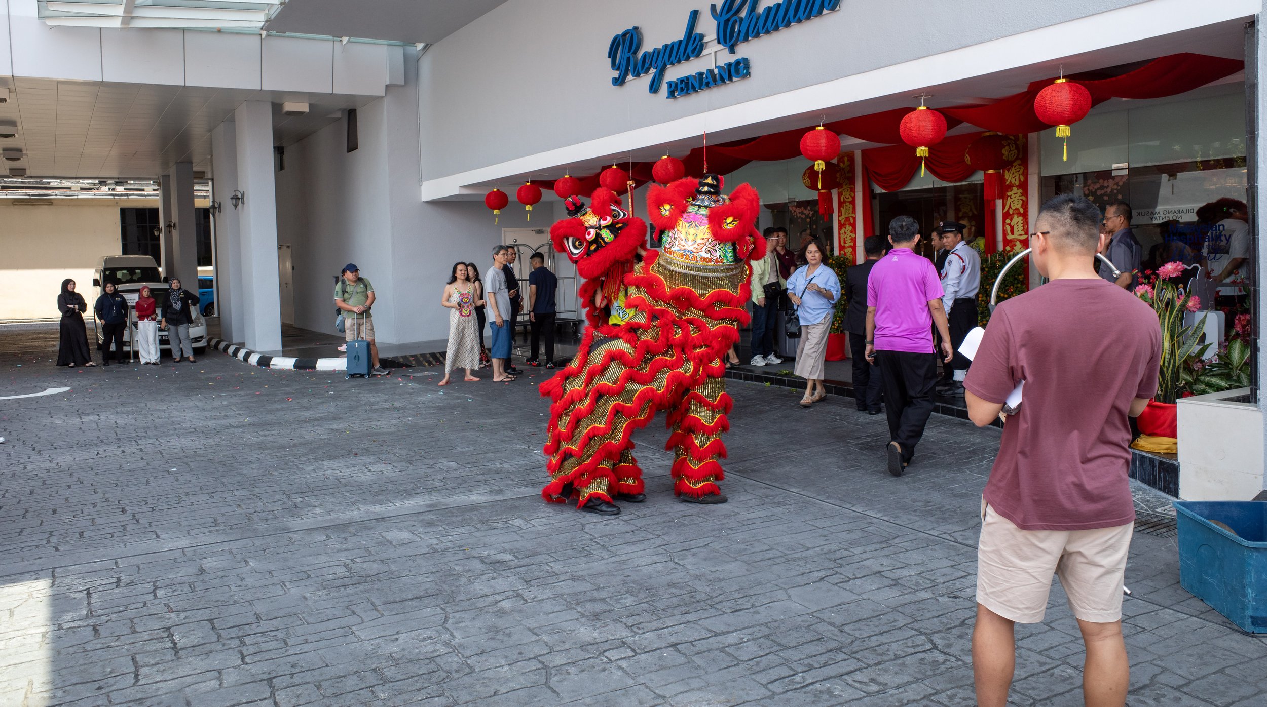 Two lions dancing around each other.