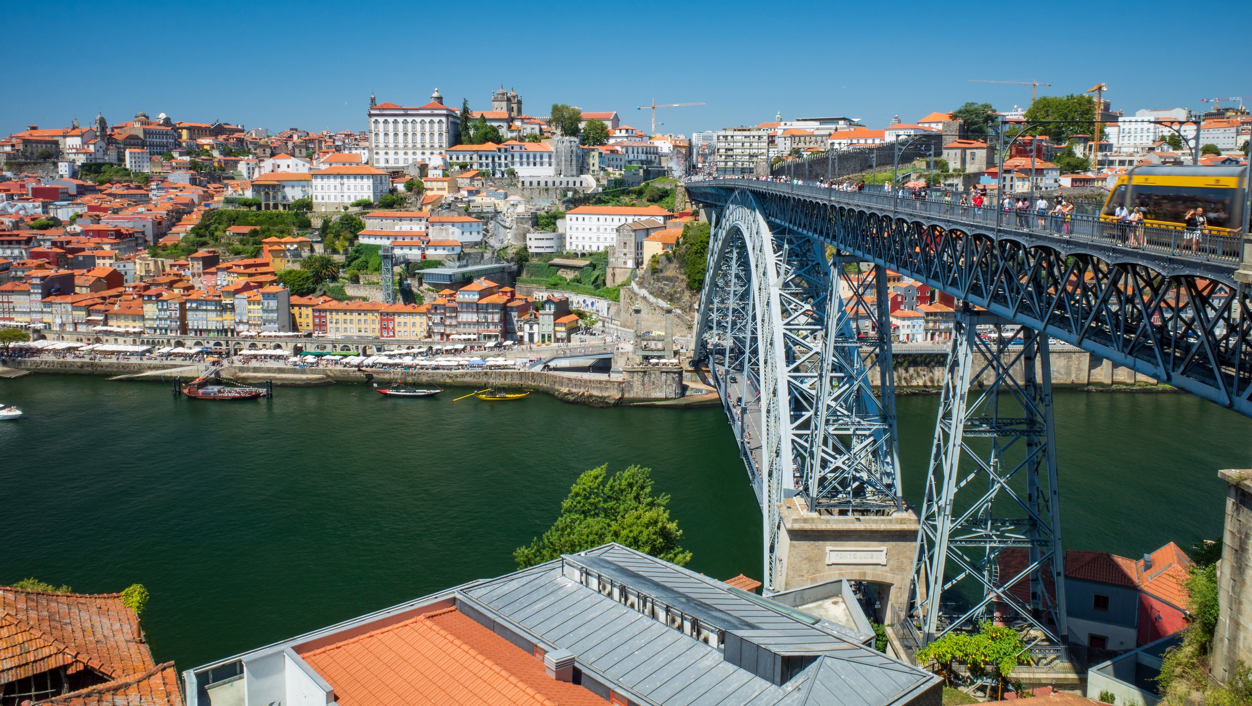  The view back across the river from Gaia (photo/Jason Rafal) 