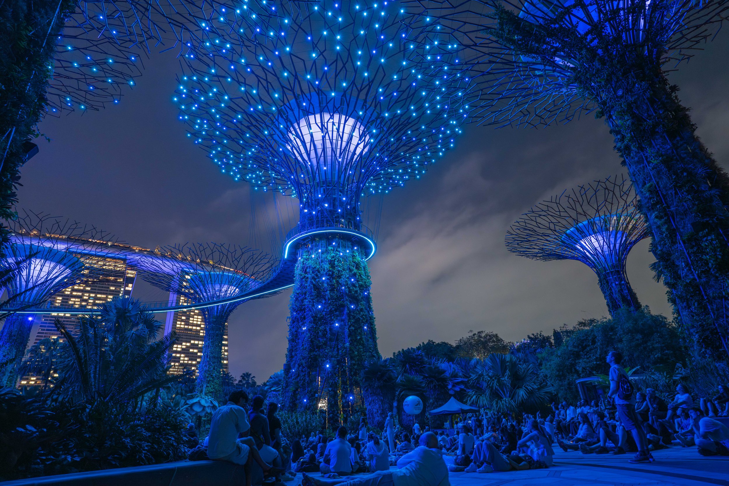 People sitting on the ground and looking up at the blue lit Supertrees.