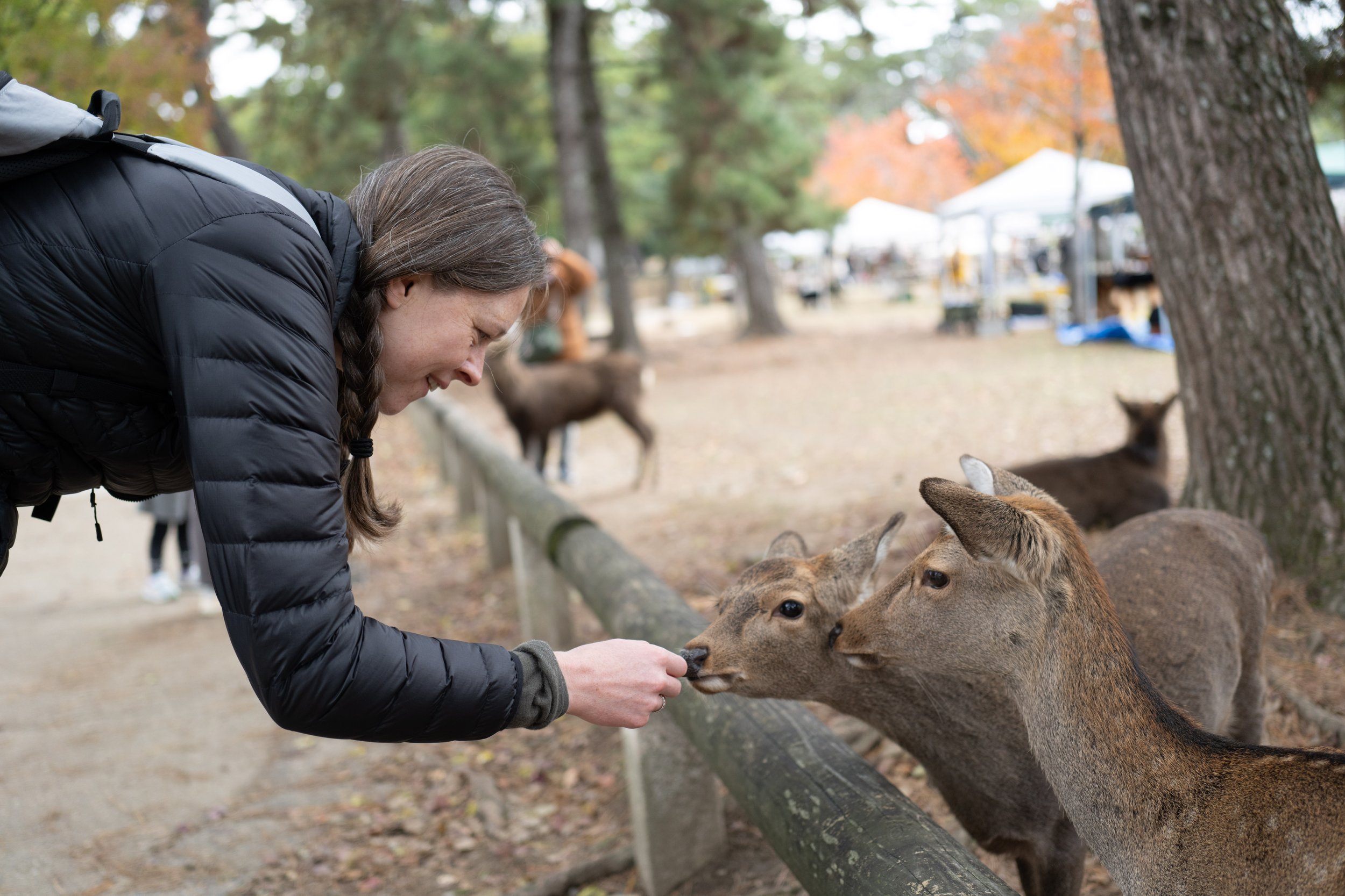  Saying hi to some of the deer (photo/Jason Rafal) 