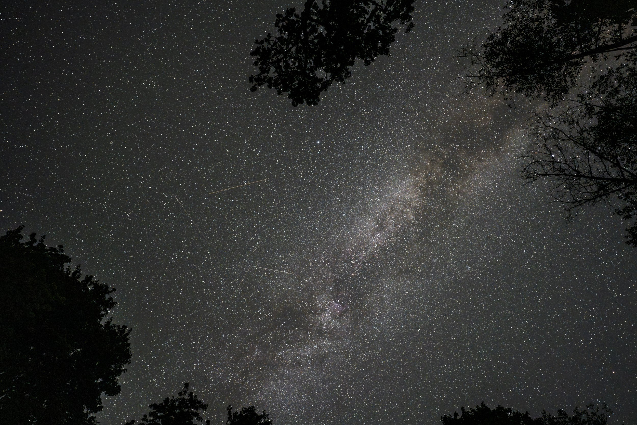  The stars I always miss in Seattle (photo/Jason Rafal) 