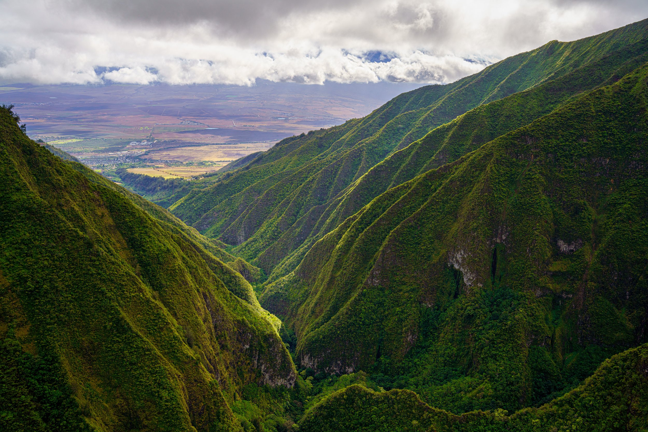  Looking east (photo/Jason Rafal) 