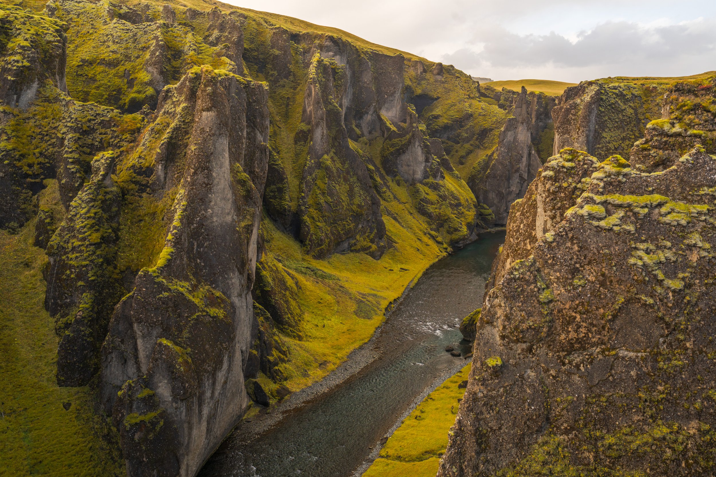  More amazing shades of yellow-green (photo/Jason Rafal) 