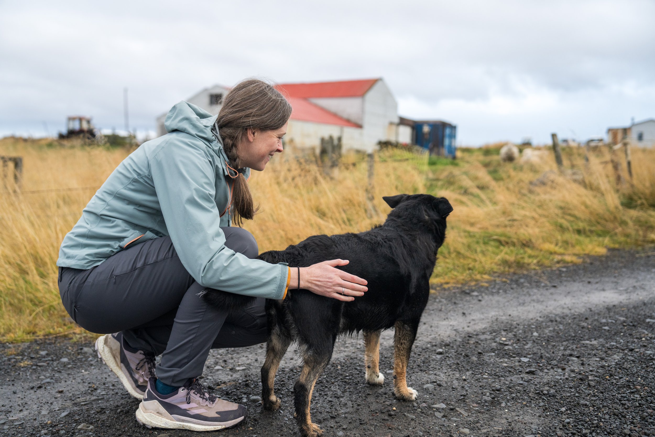  A very friendly dog greeted us at our Airbnb (photo/Jason Rafal) 