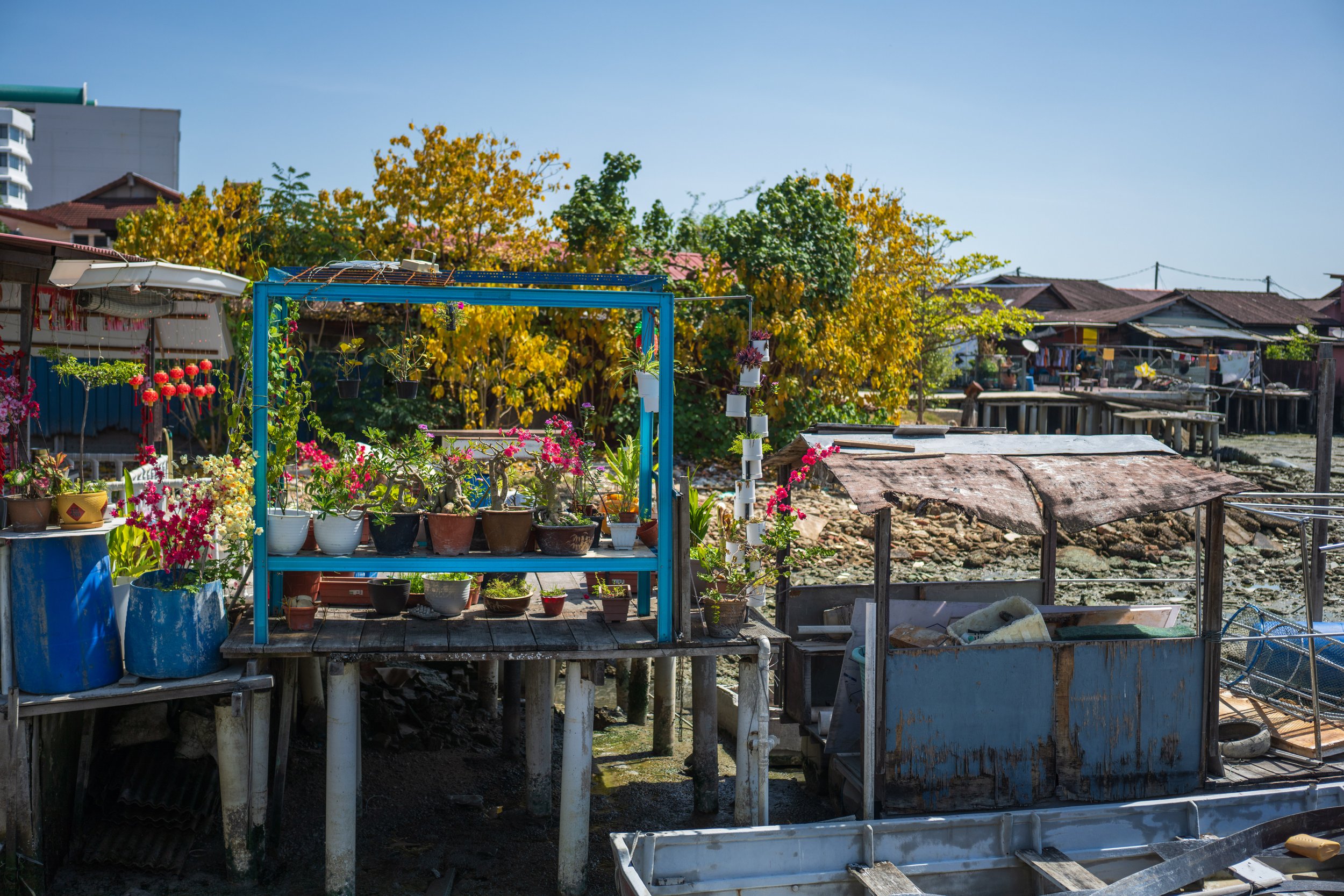 A garden full of potted plants on a boardwalk.