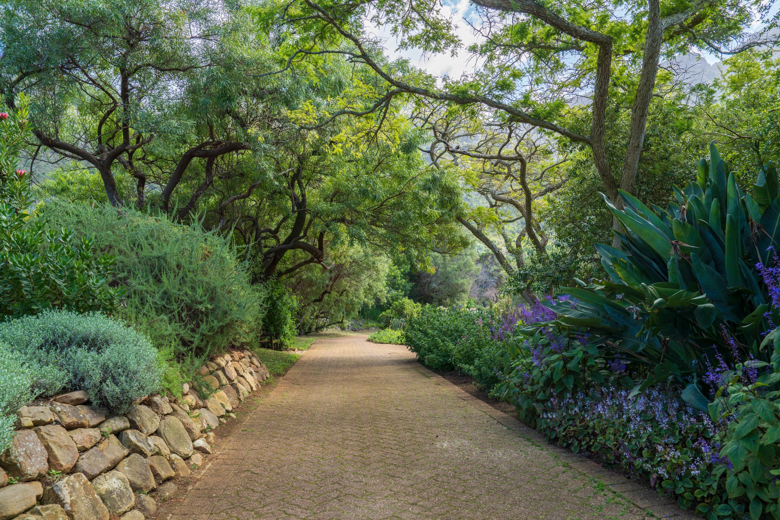  These pathways are amazing (photo/Jason Rafal) 