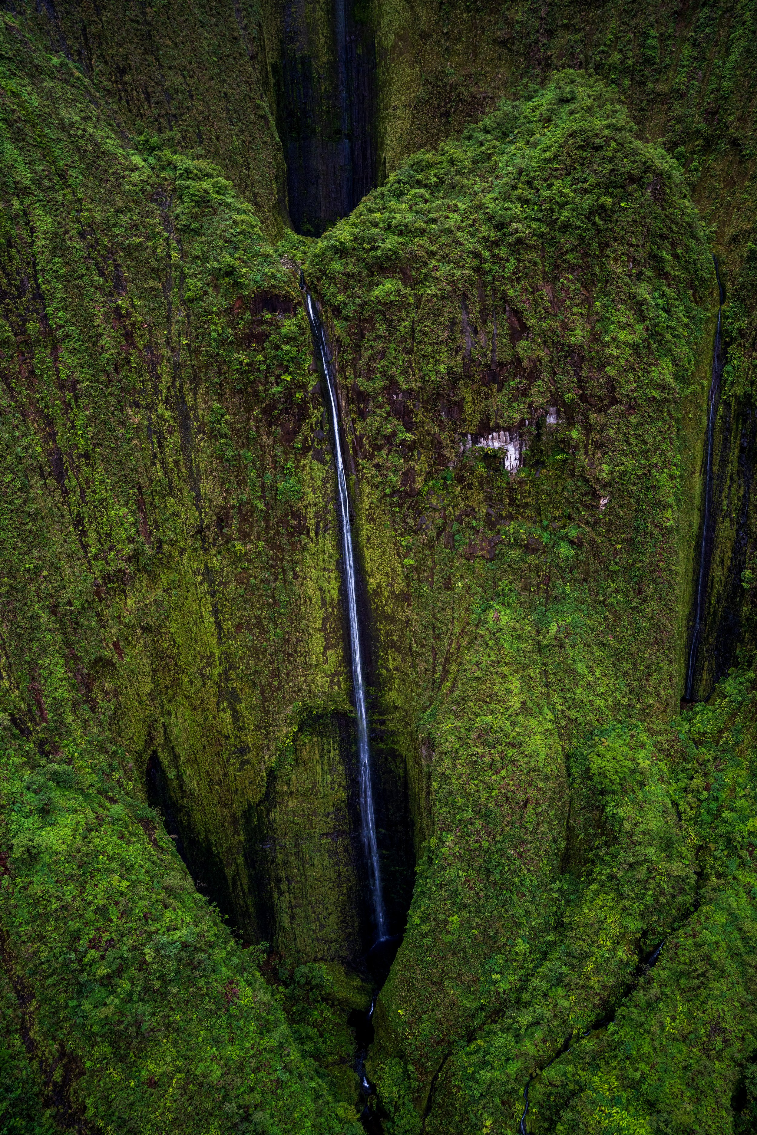 The awe-inspiring, 1,100-foot Honokohau Falls (photo/Jason Rafal) 