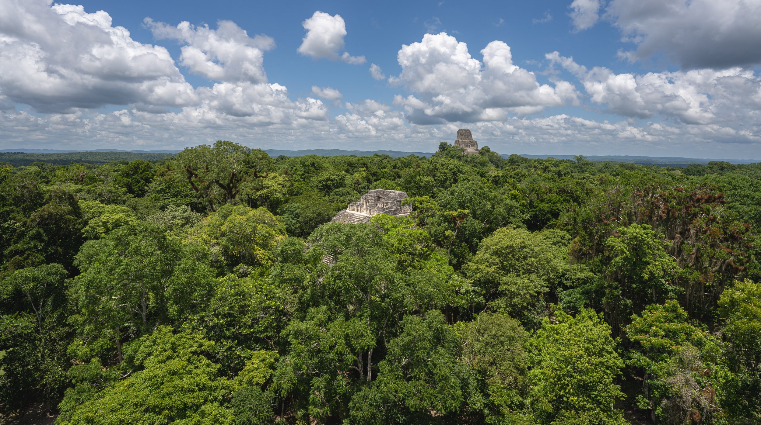  The jungle of Tikal (photo/Jason Rafal) 