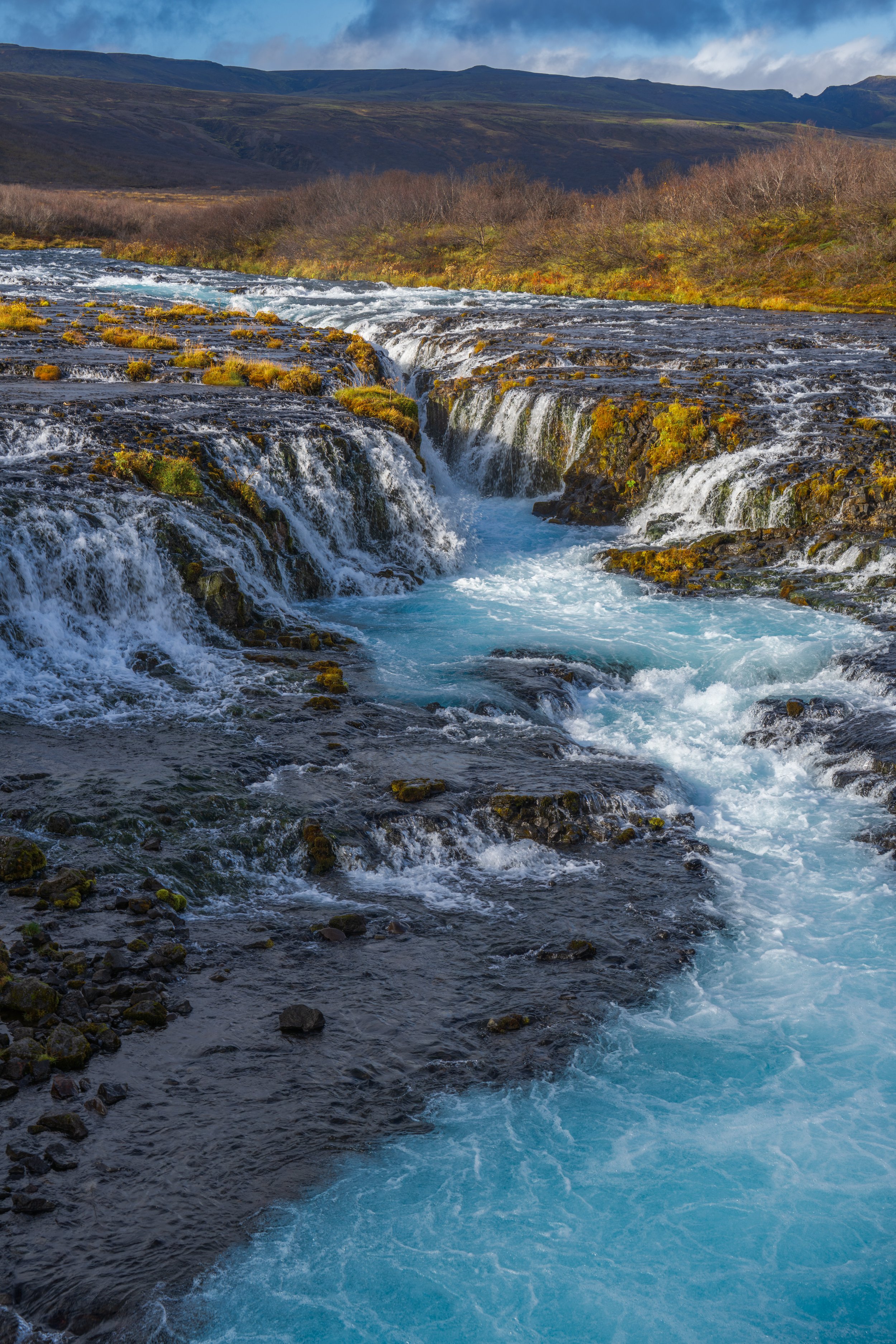 Spoiled by sunshine (photo/Jason Rafal) 