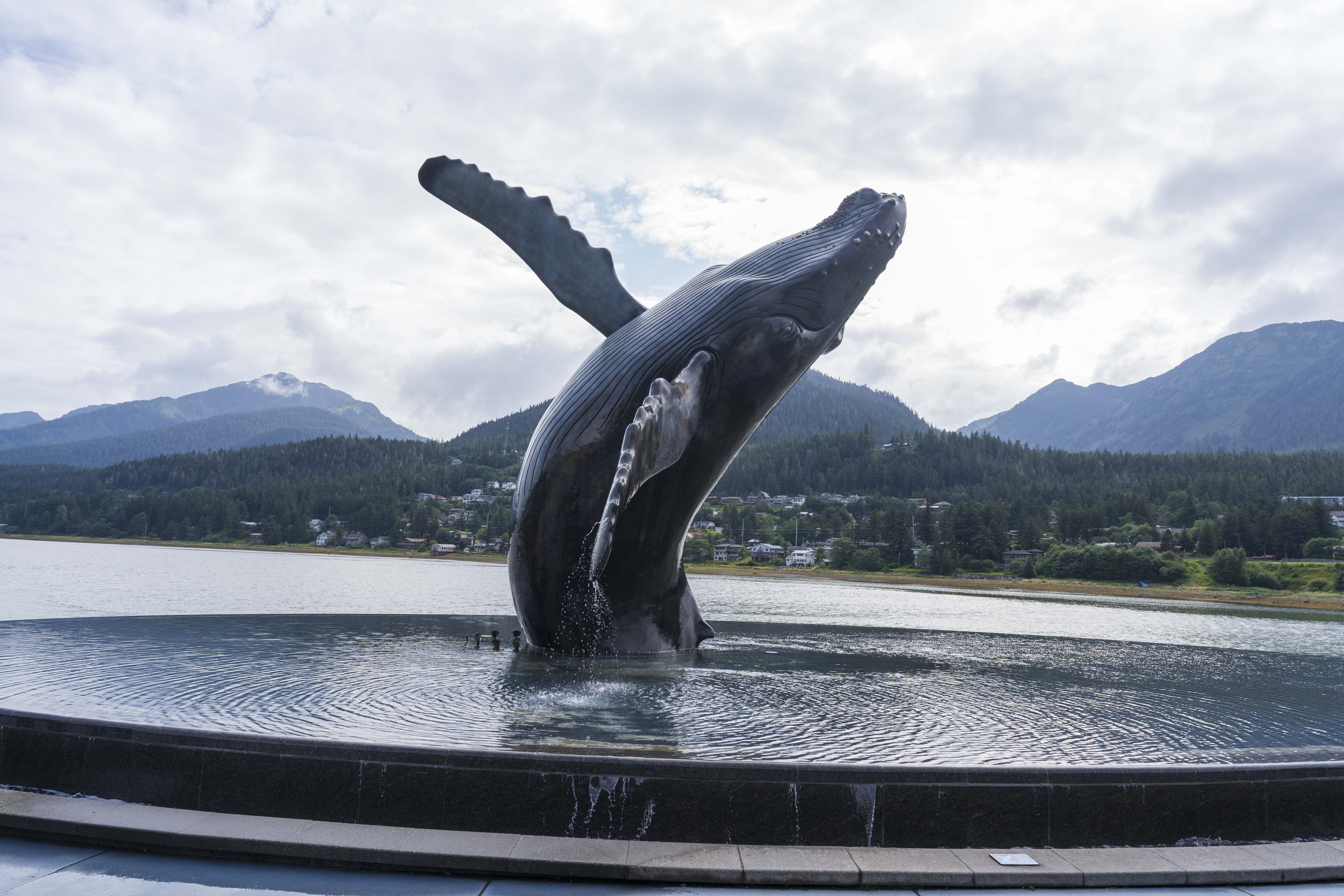 A whale statue in a fountain.
