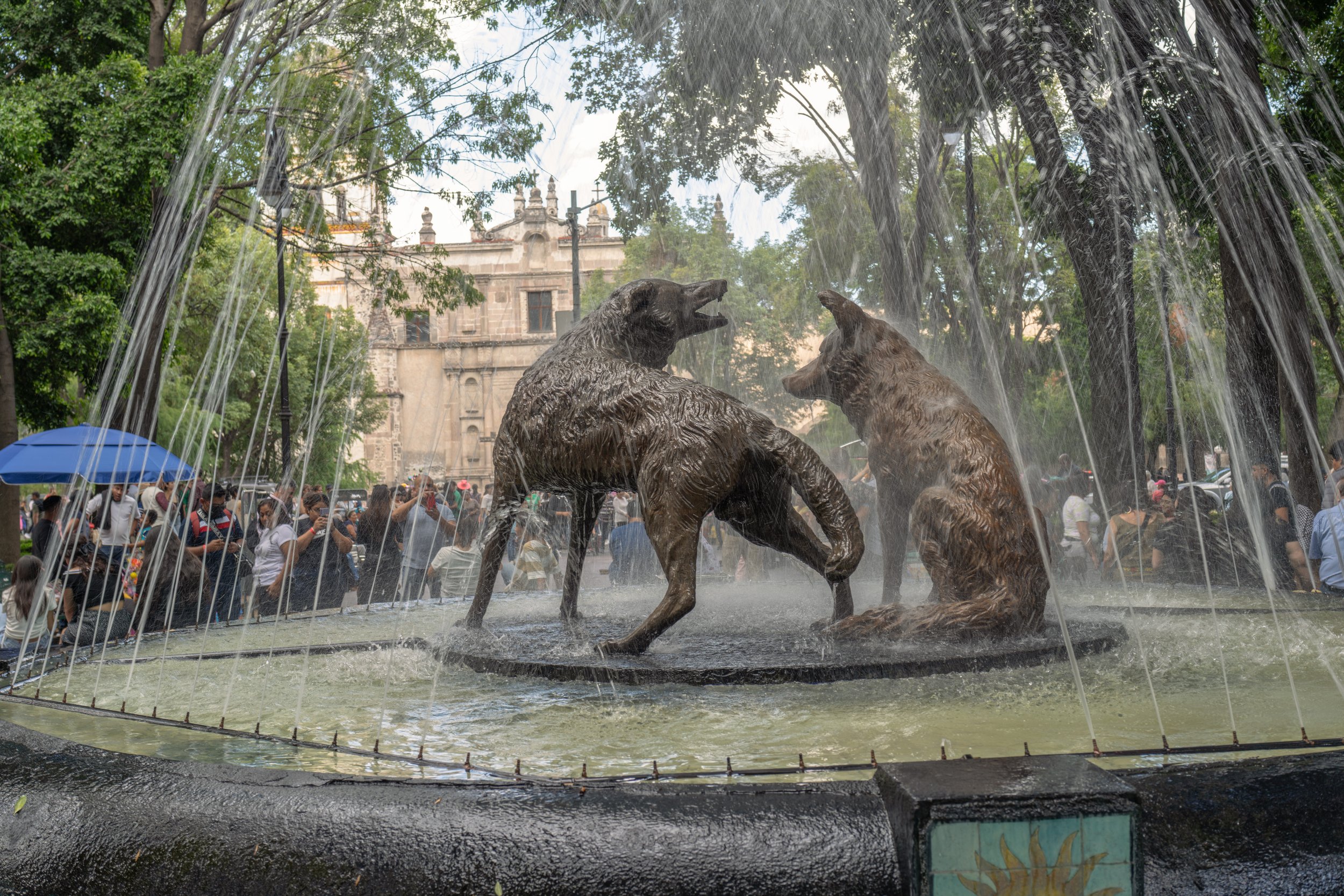 The coyote fountain in the park in central Coyoacan (guess what the neighborhood is named for) (photo/Jason Rafal)