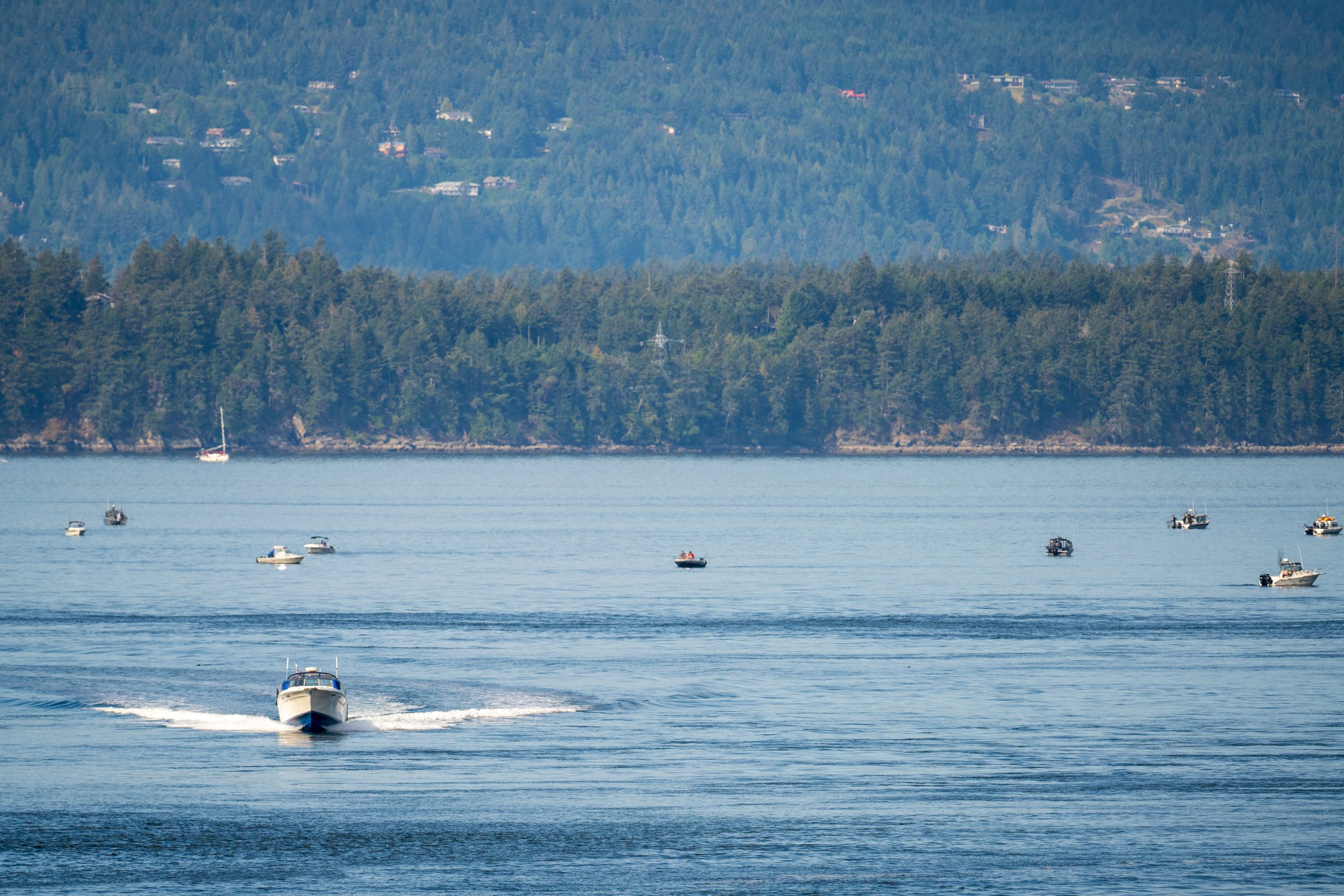  Boats sharing the Strait of Georgia (photo/Jason Rafal) 