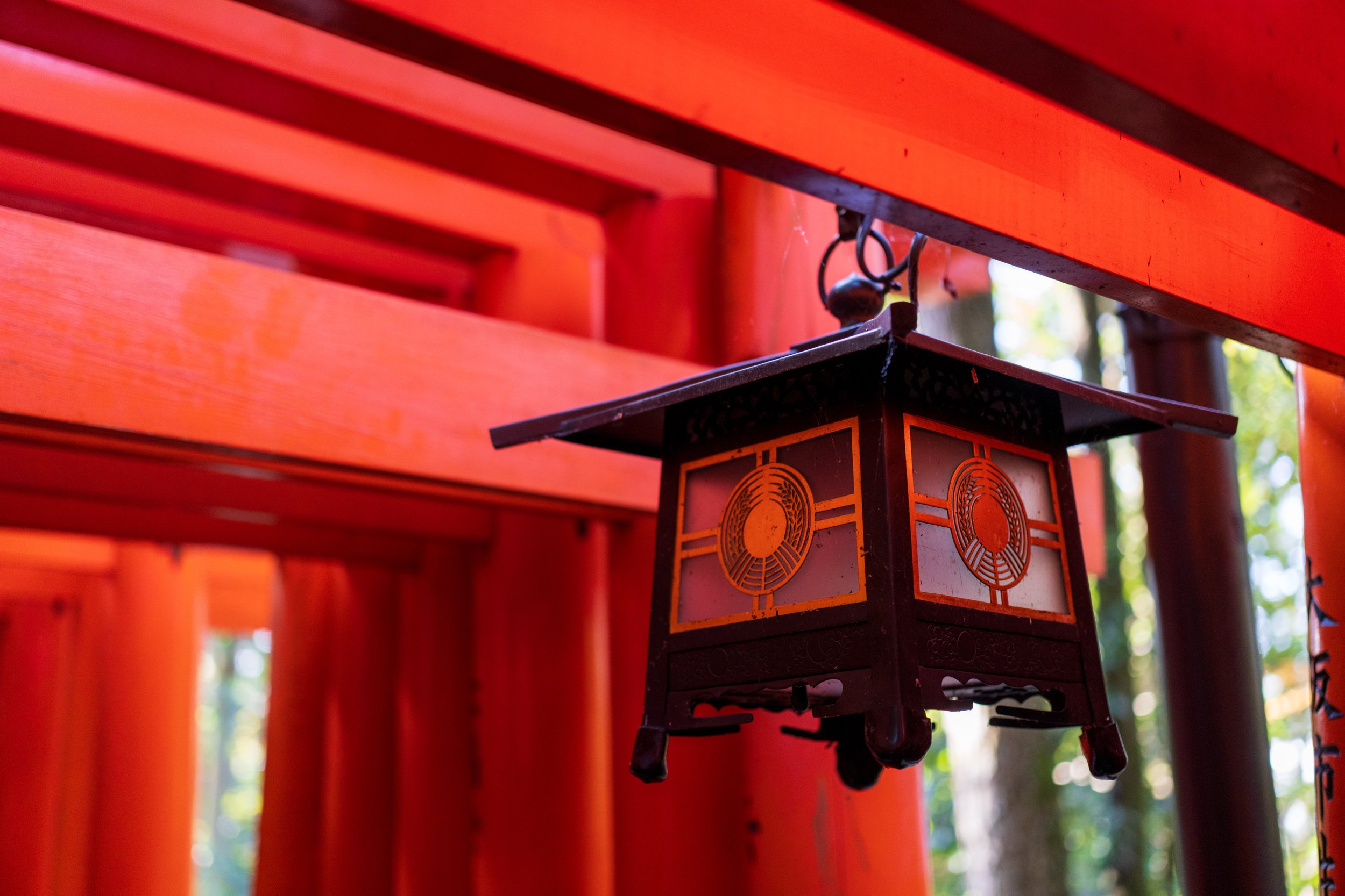  One of many hanging lanterns (photo/Jason Rafal) 