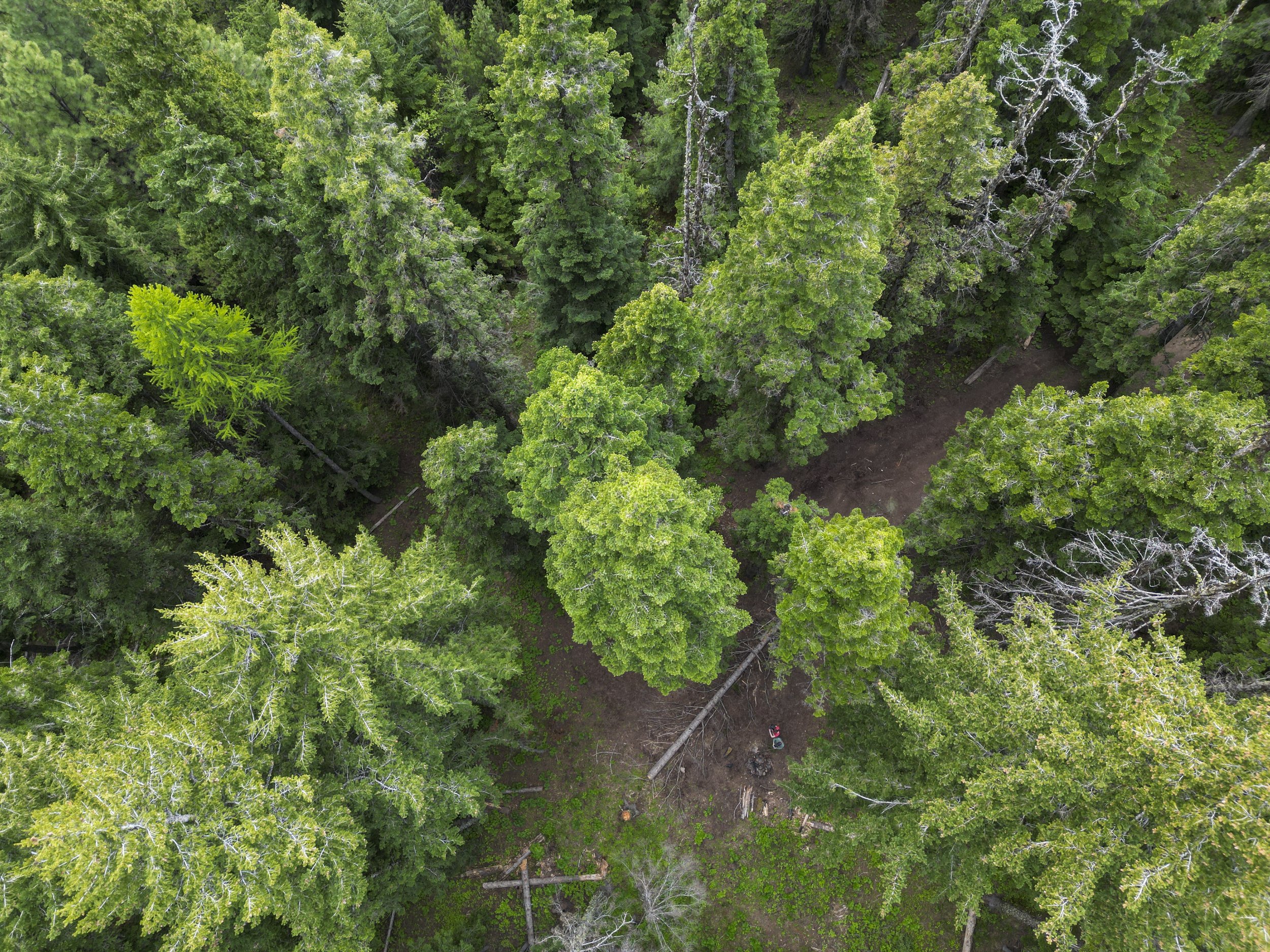  Looking down at our campsite - see if you can spot us (photo/Jason Rafal) 