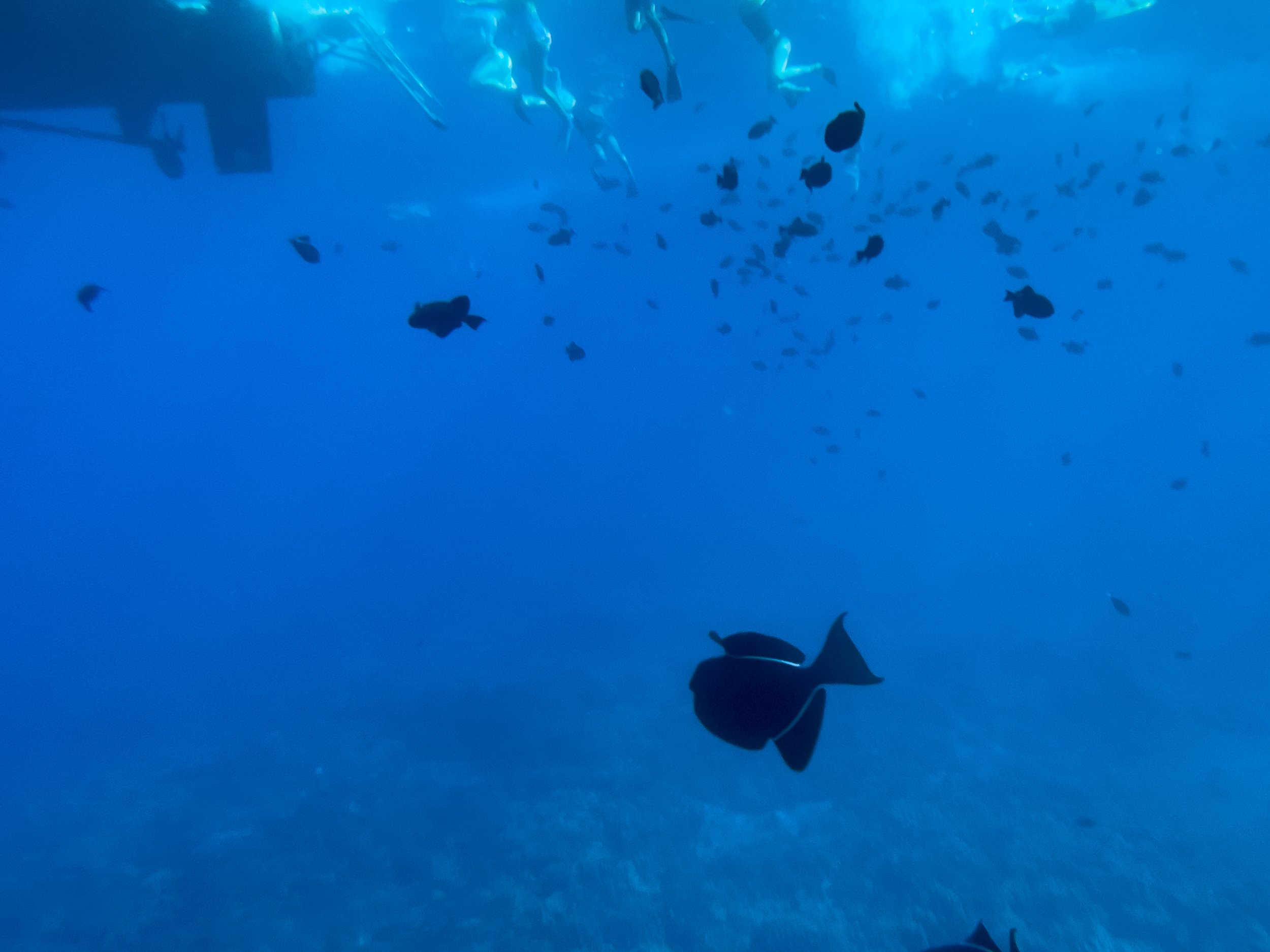  Honestly the iPhone-in-a-bag thing worked better than expected (photo/Jason Rafal) 