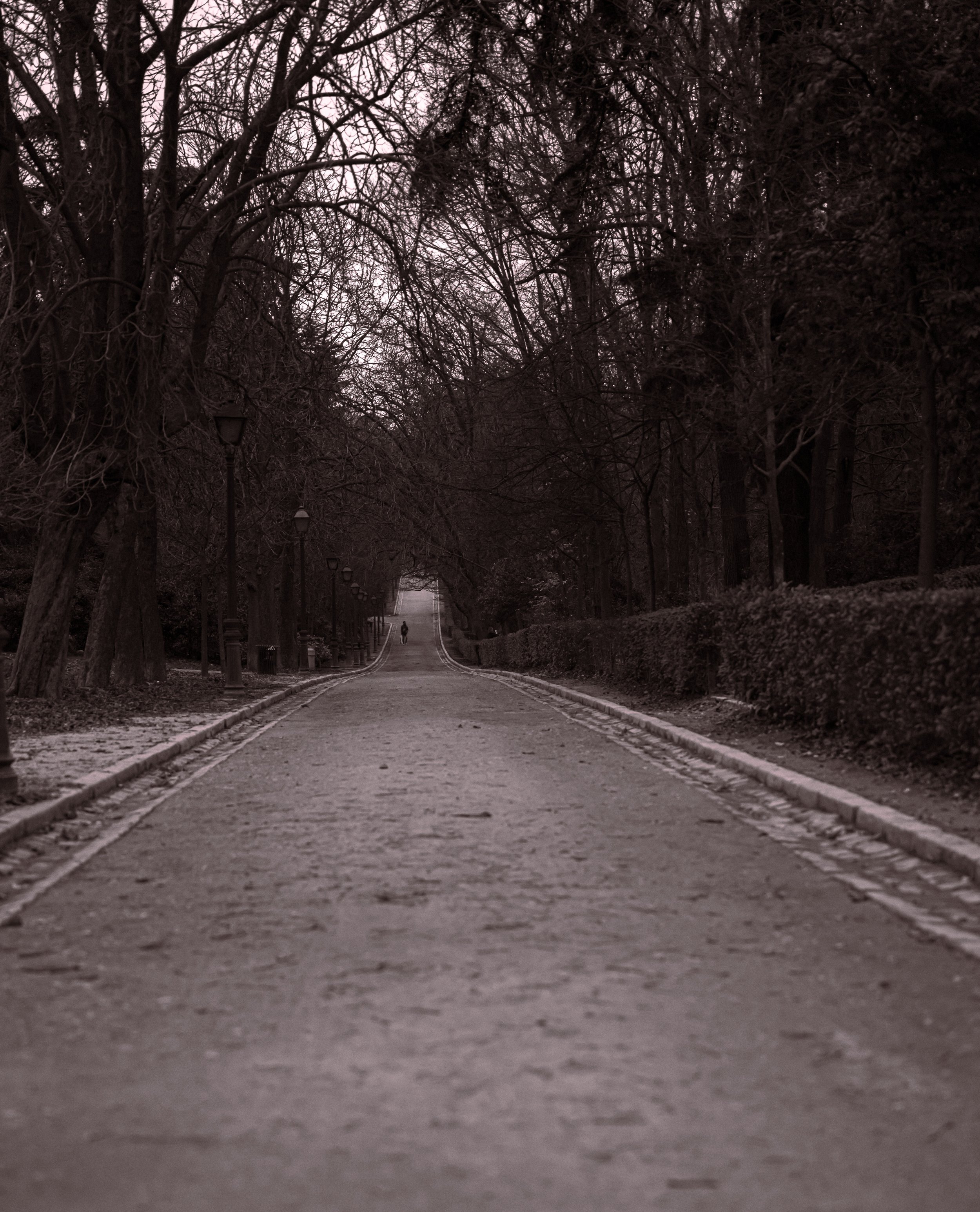  This empty path at dusk felt starkly different from the rest of the city (photo/Jason Rafal) 