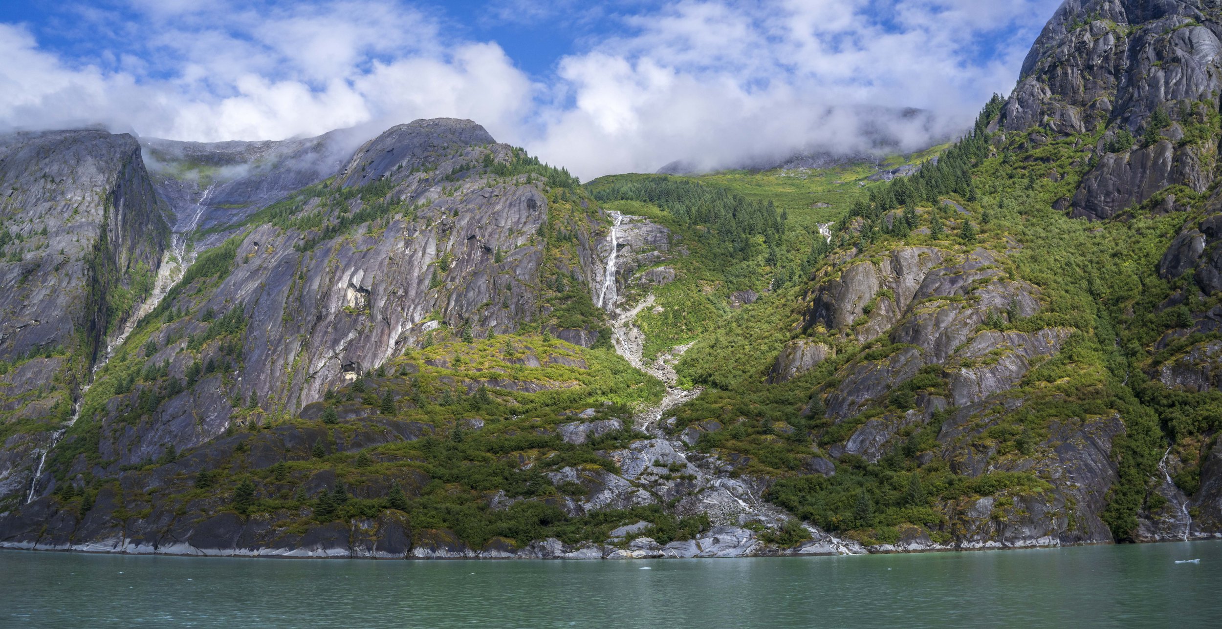Looking up at a mountainside running down to the water.