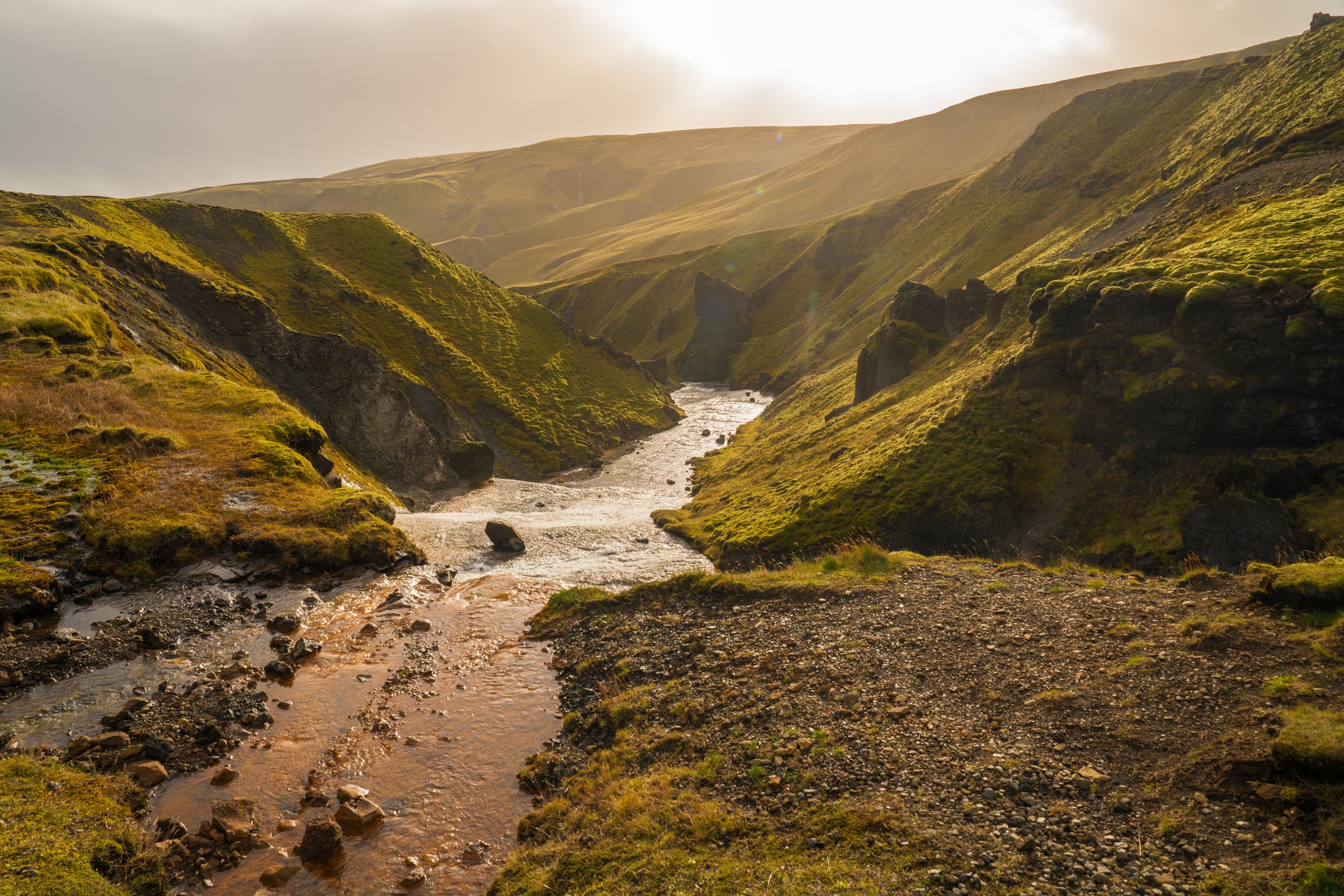  I know, it’s all beautiful light and moss and water, yet again (photo/Jason Rafal) 