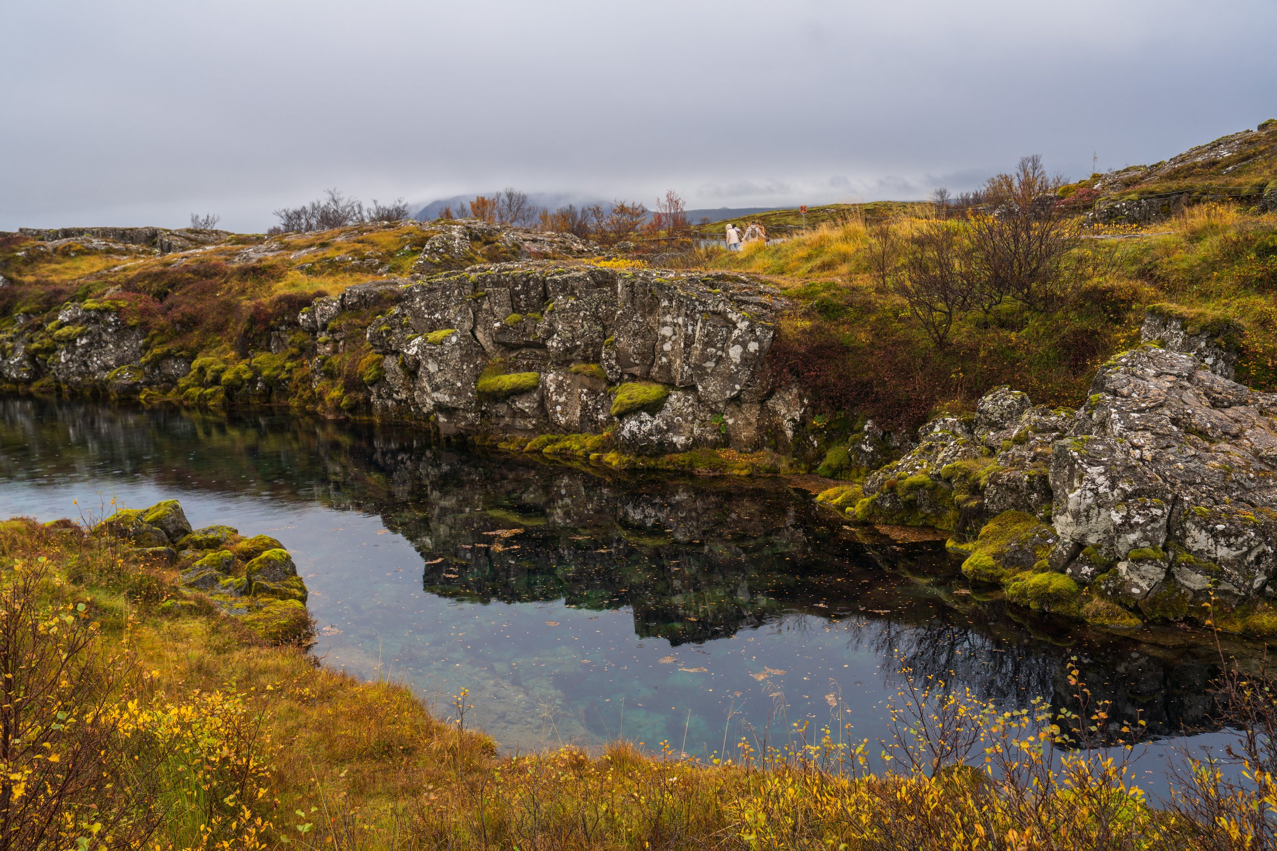  The dominant colors of our trip were yellow-green and shades of gray (photo/Jason Rafal) 