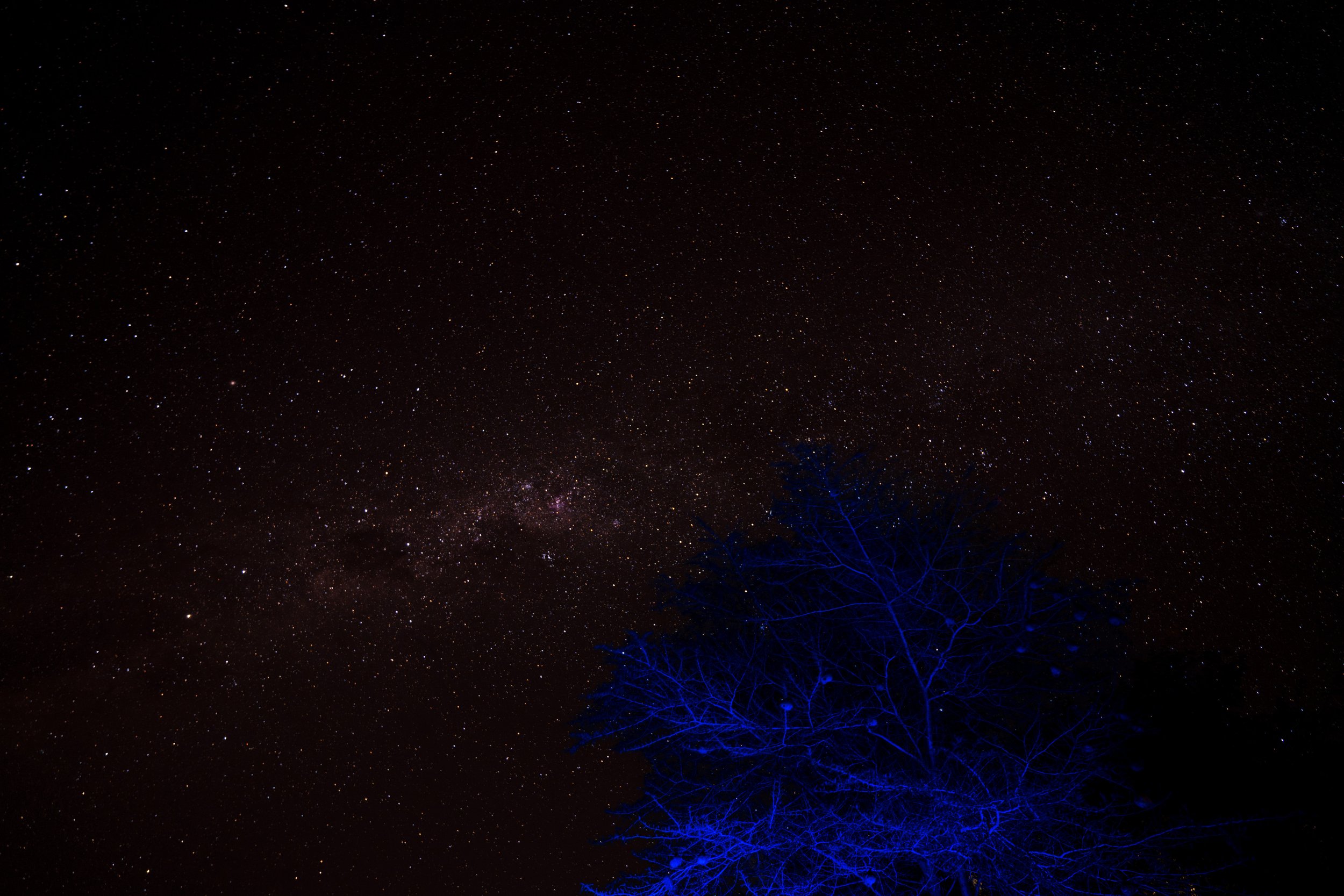 The incredible night sky (the tree was lit up from the pool below) (photo/Jason Rafal)