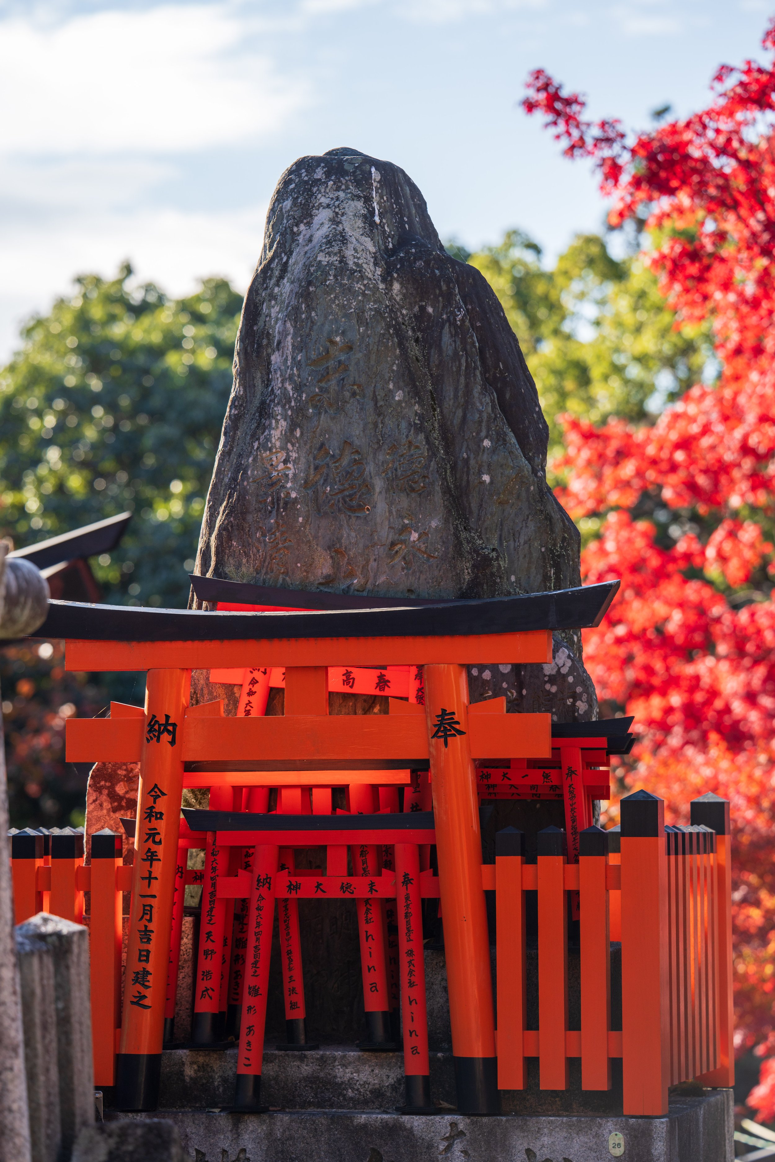  More tiny gates (photo/Jason Rafal) 