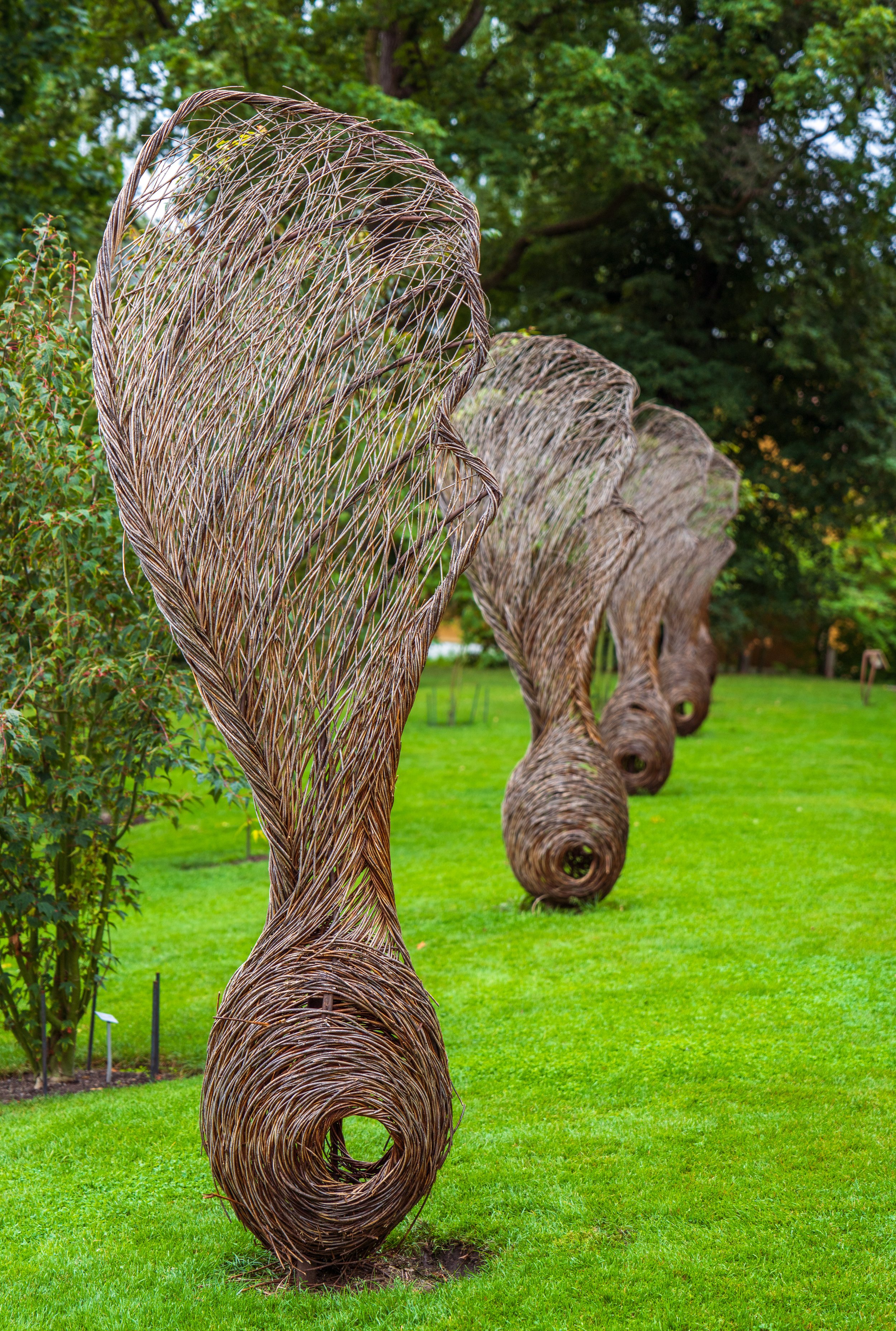 Helicopter seedpod art (photo/Jason Rafal)