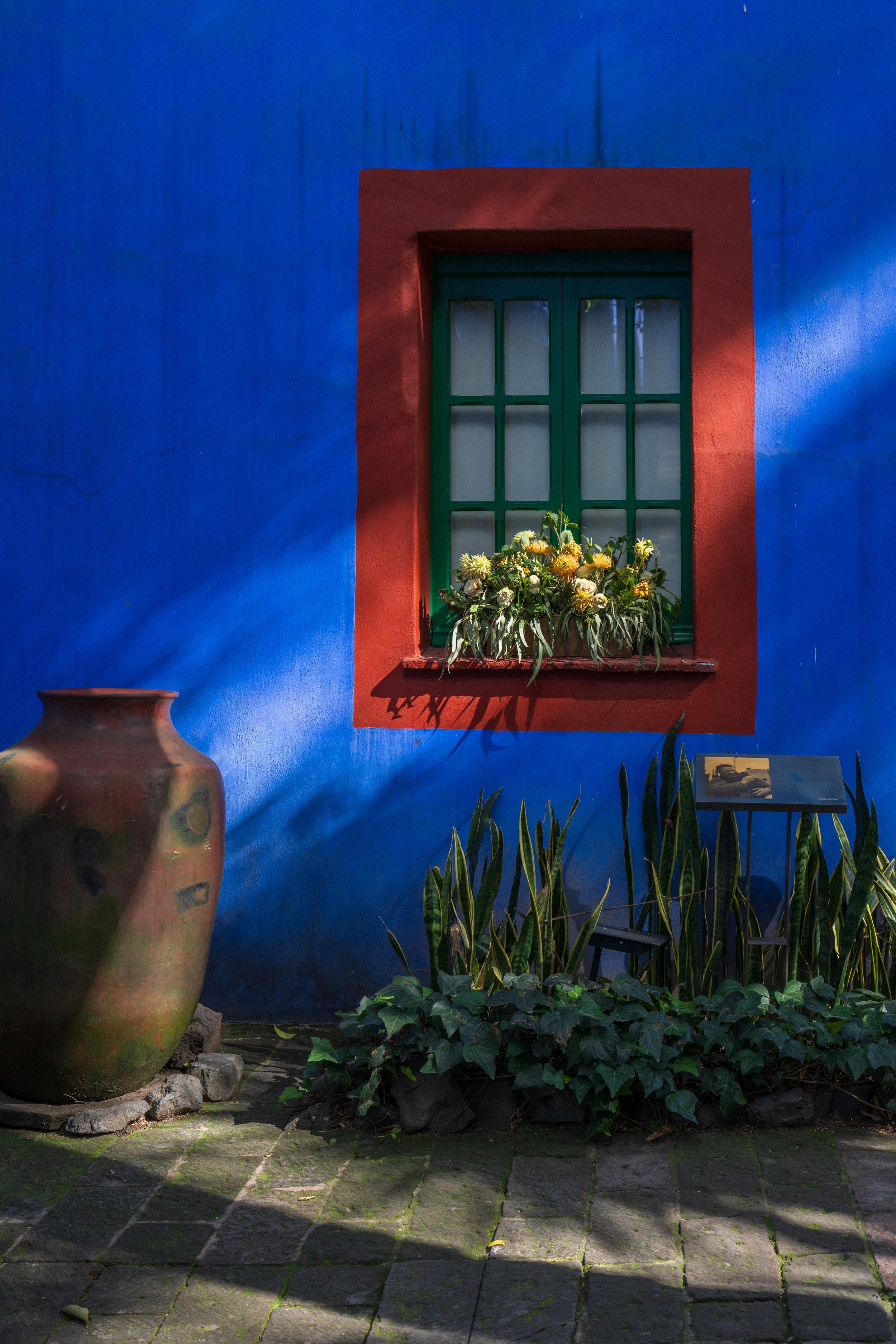 A wall in Frida Kahlo’s beautiful garden (photo/Jason Rafal)