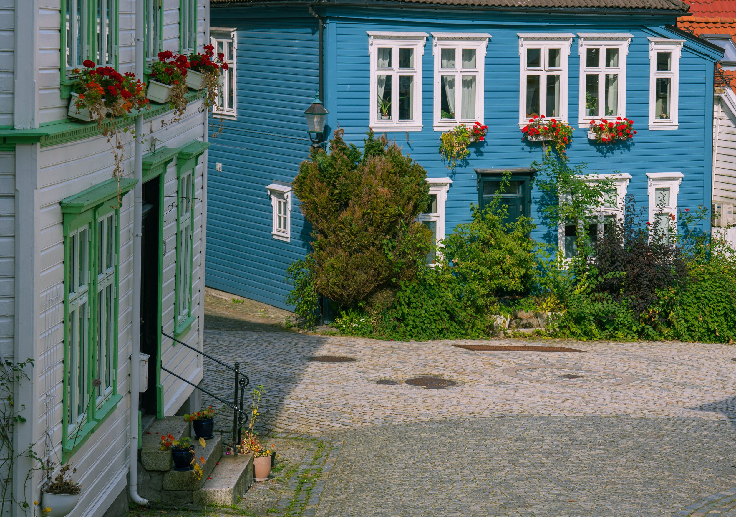 Colorful houses in Bergen (photo/Jason Rafal)