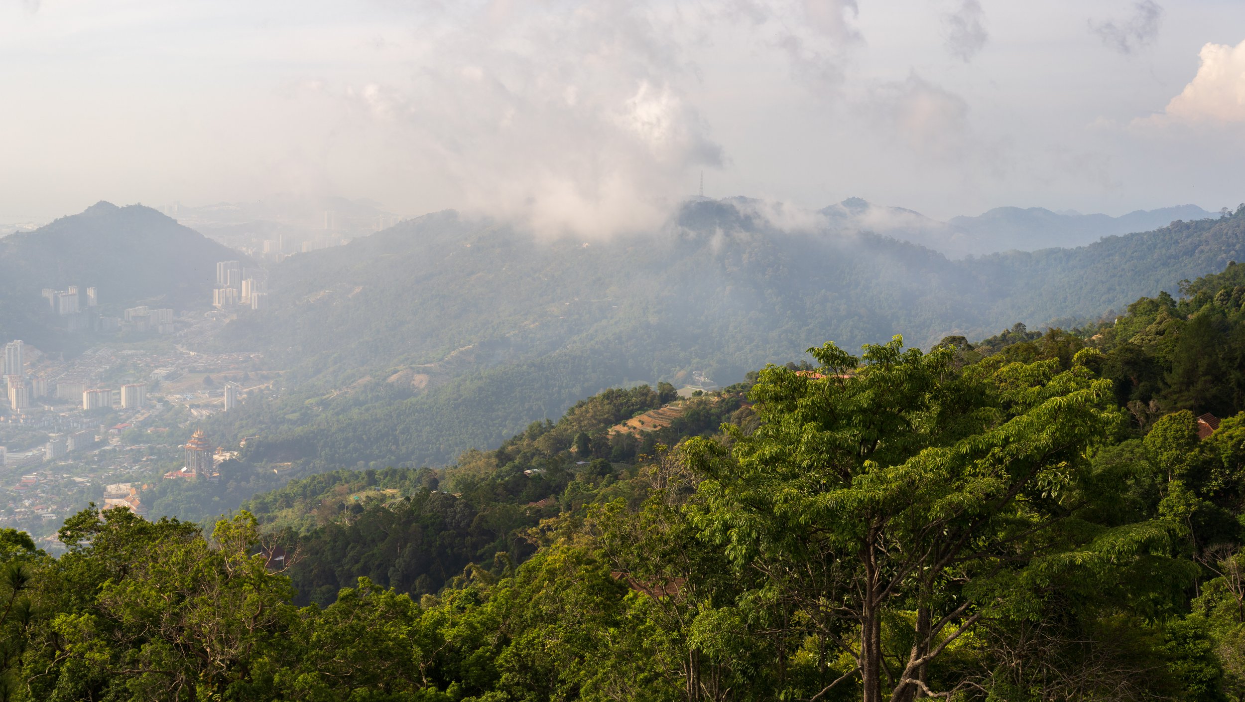 Looking out over forested hilltops surrounded by clouds.